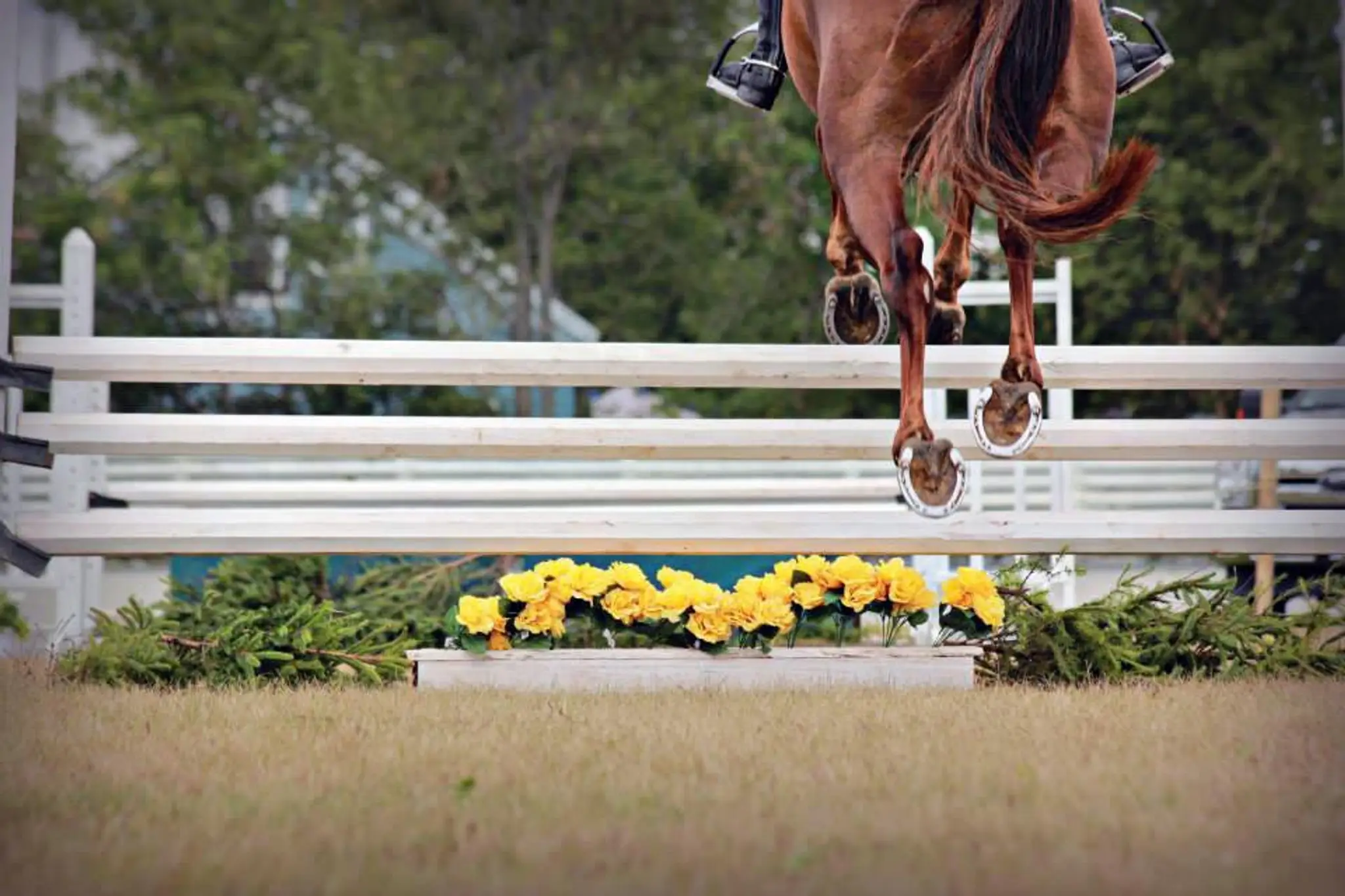 Reaching Strides Equestrian Centre