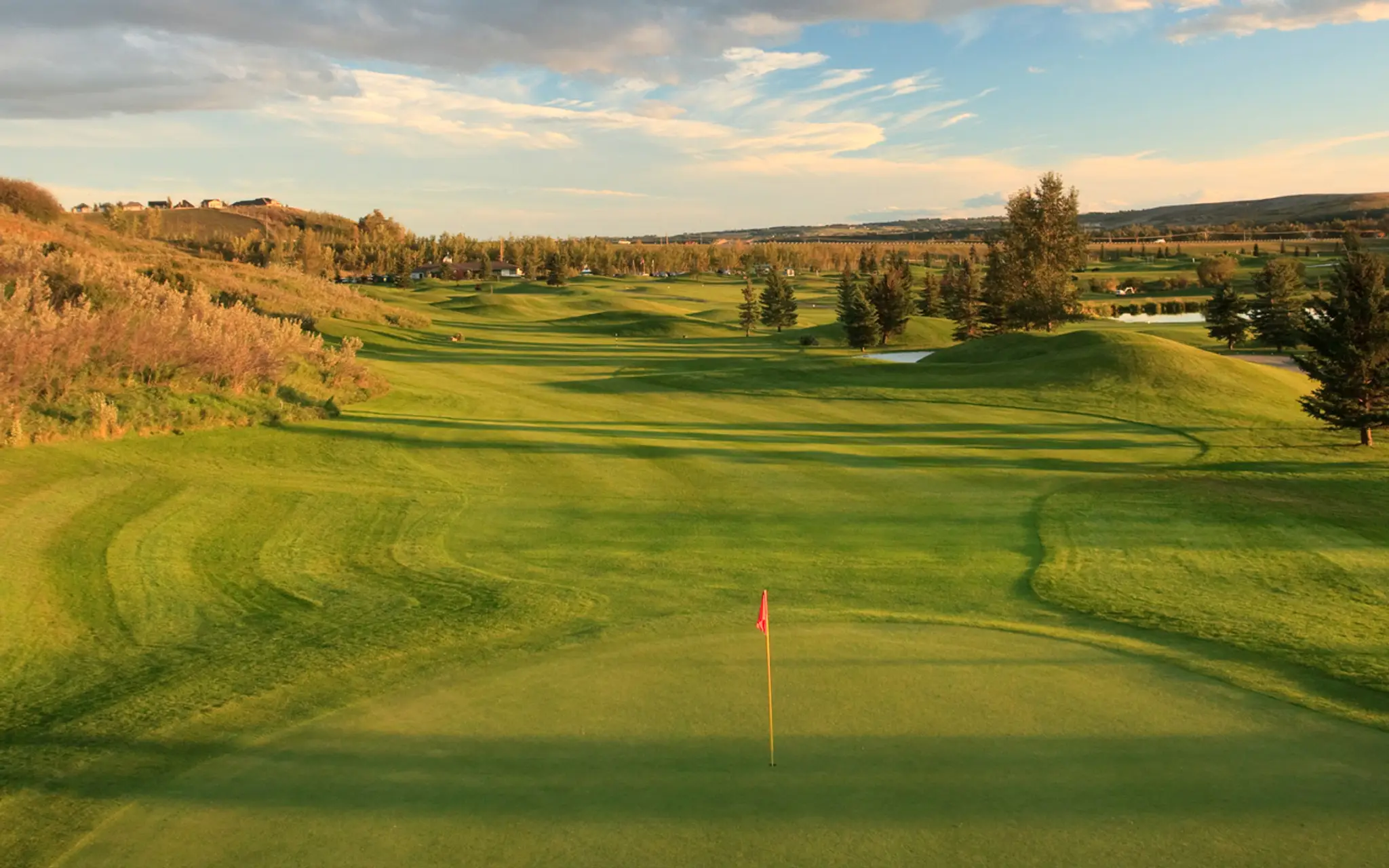 McKenzie Meadows Golf Club
