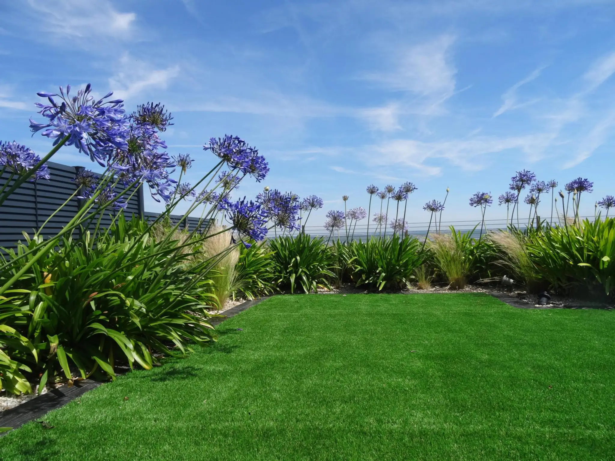 DAVID PAYSAGE PISCINE - SPA - DAMGAN