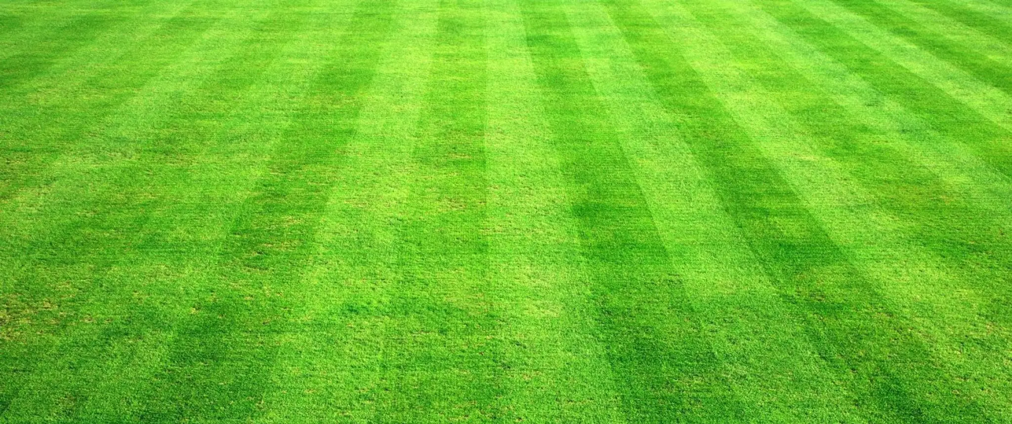 Canterbury Croquet Club