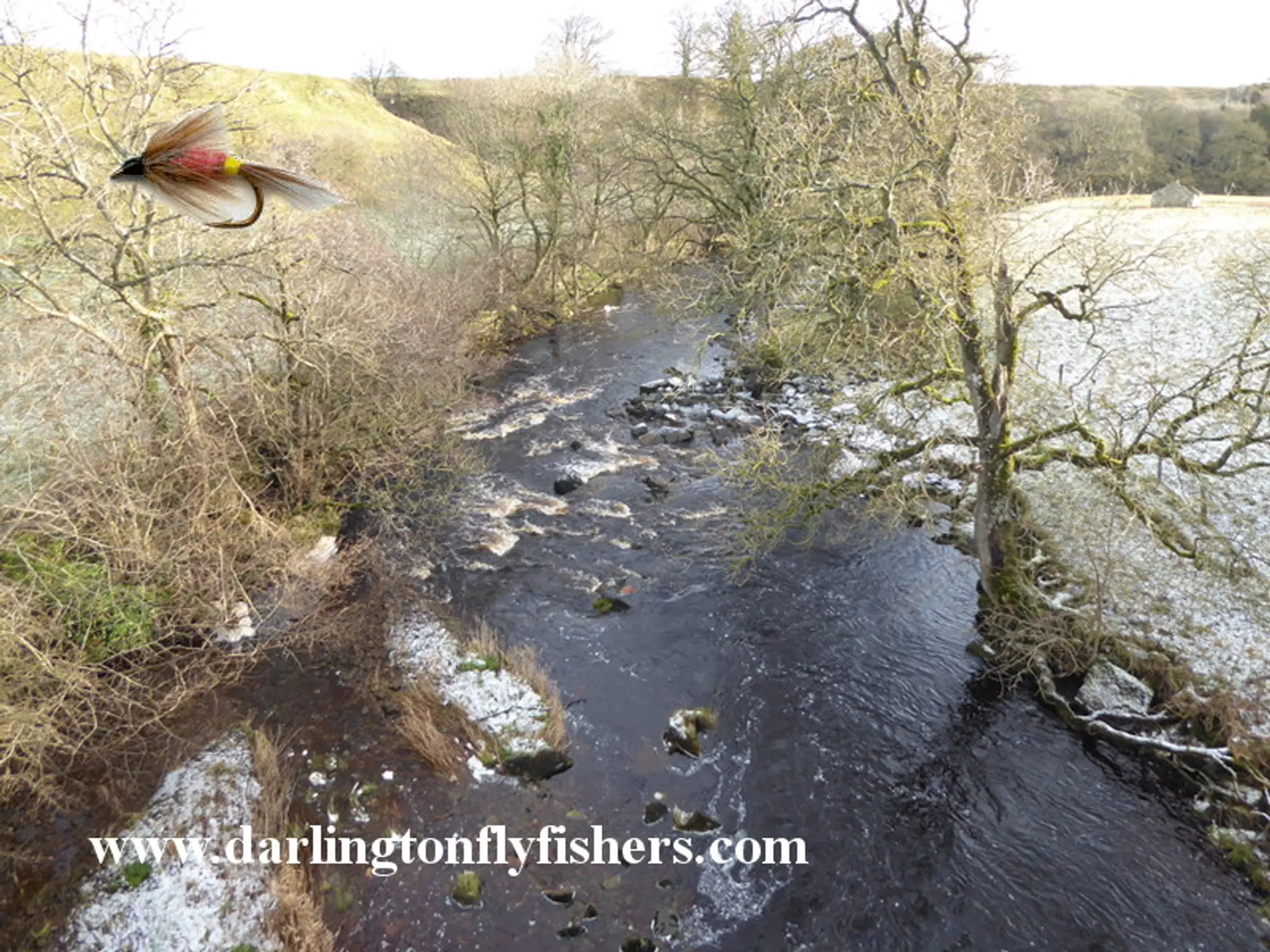 Darlington Fly Fishers Club