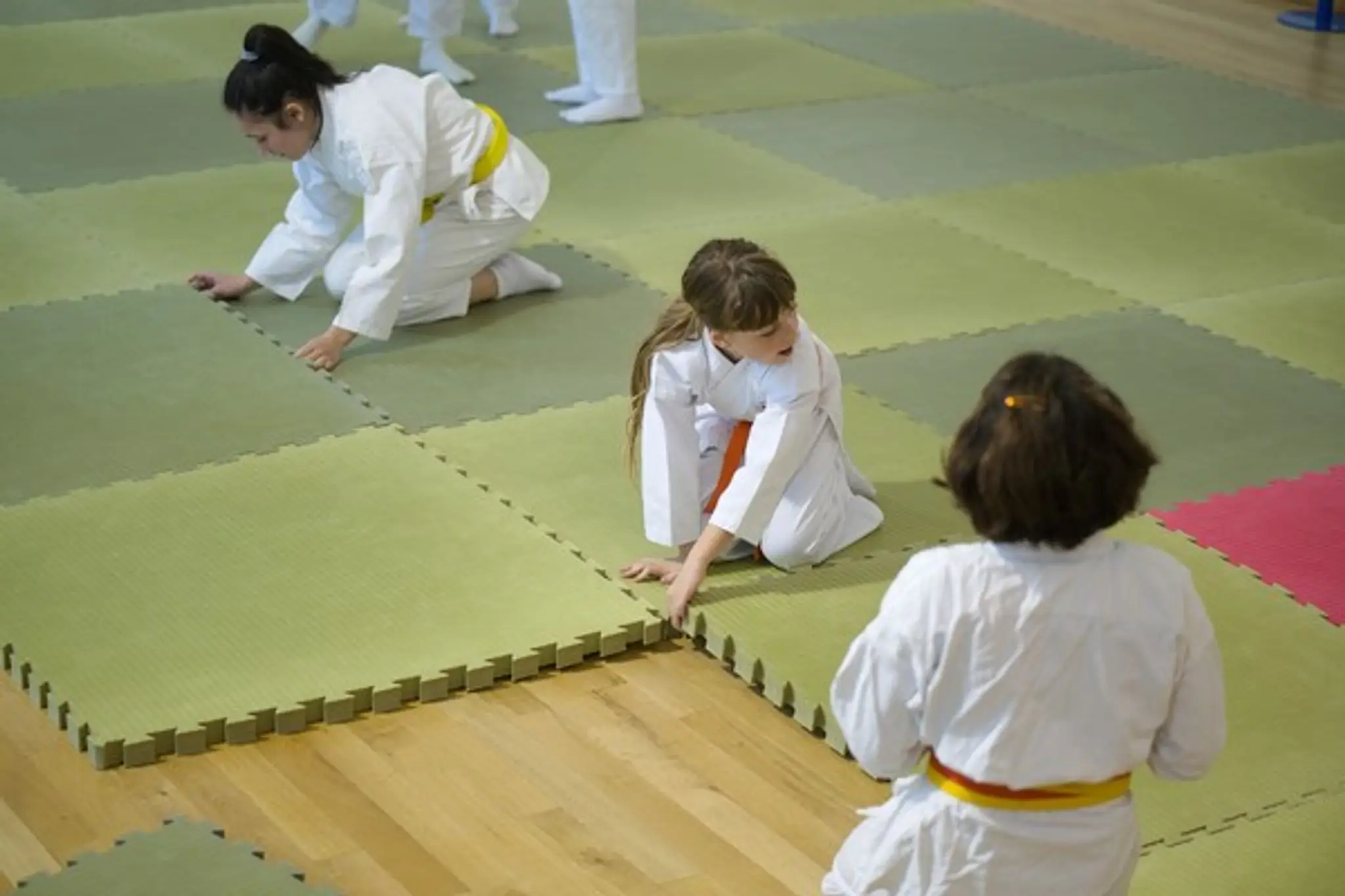 Mishokan ASD Karate Zanshindo Firenze