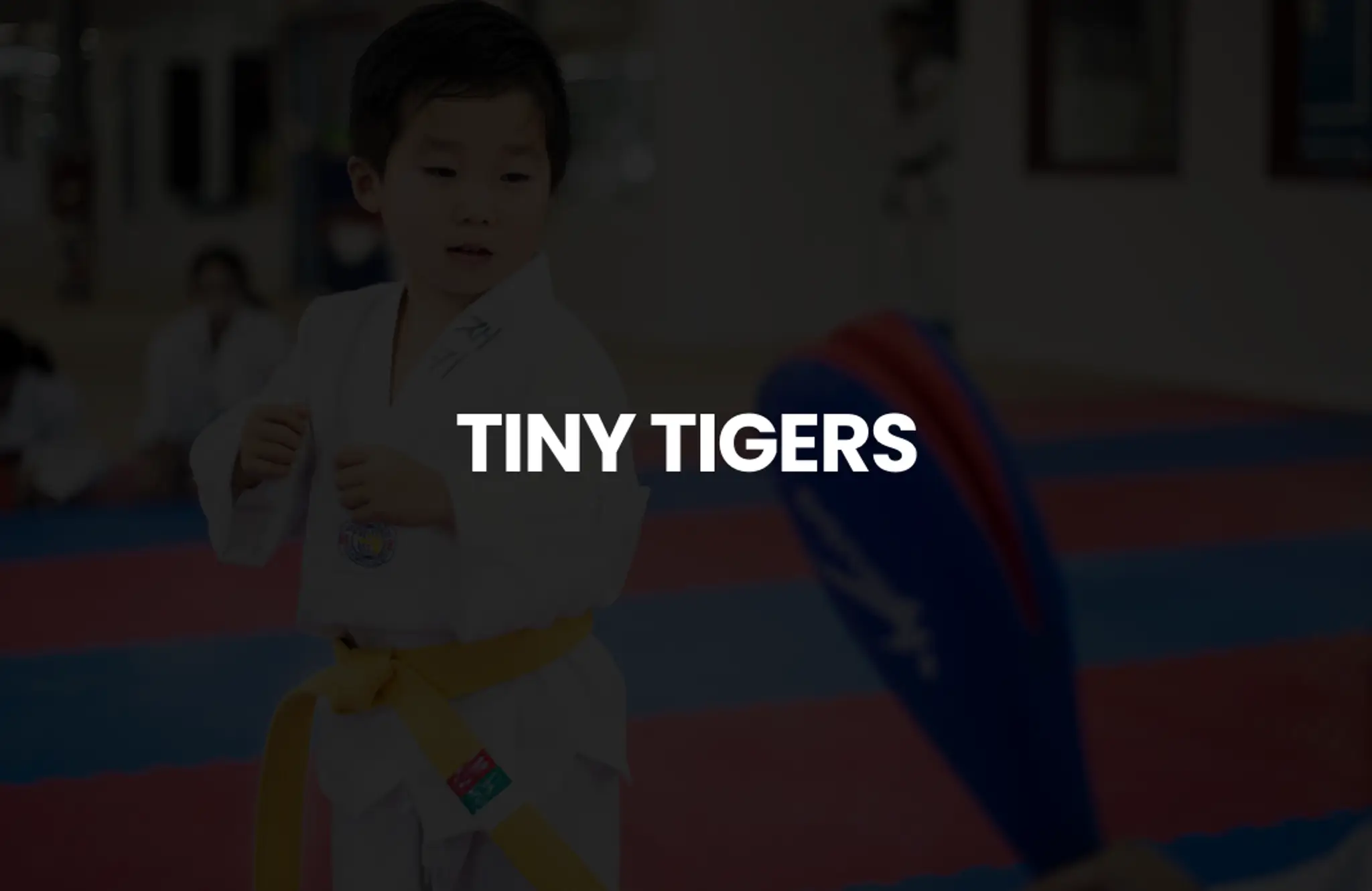 Son's Taekwondo Academy