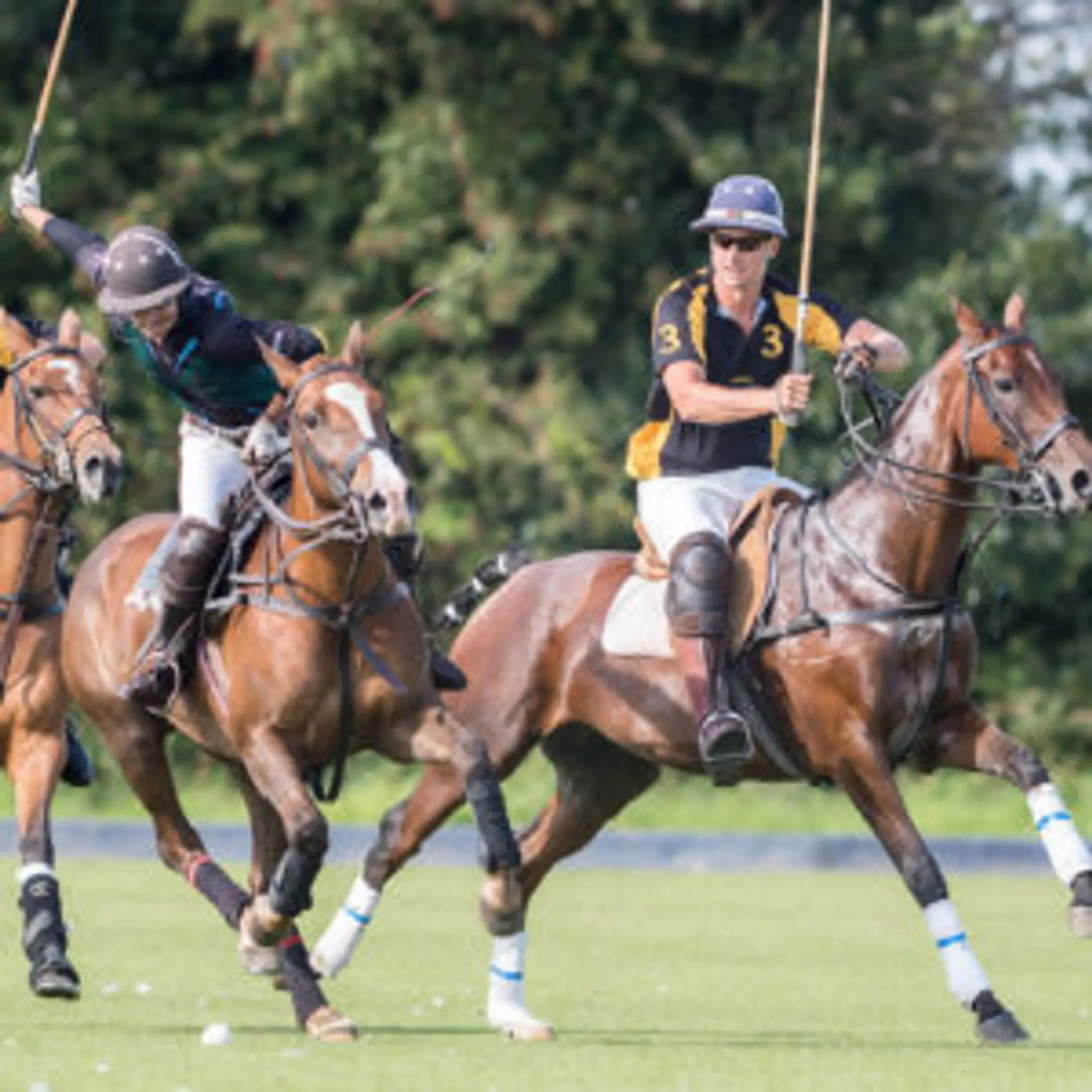 Dorset Polo Club