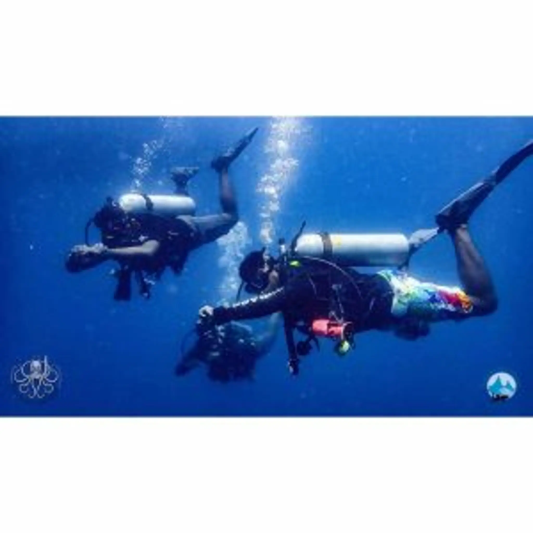 Temple Adventures - Scuba Diving Courses