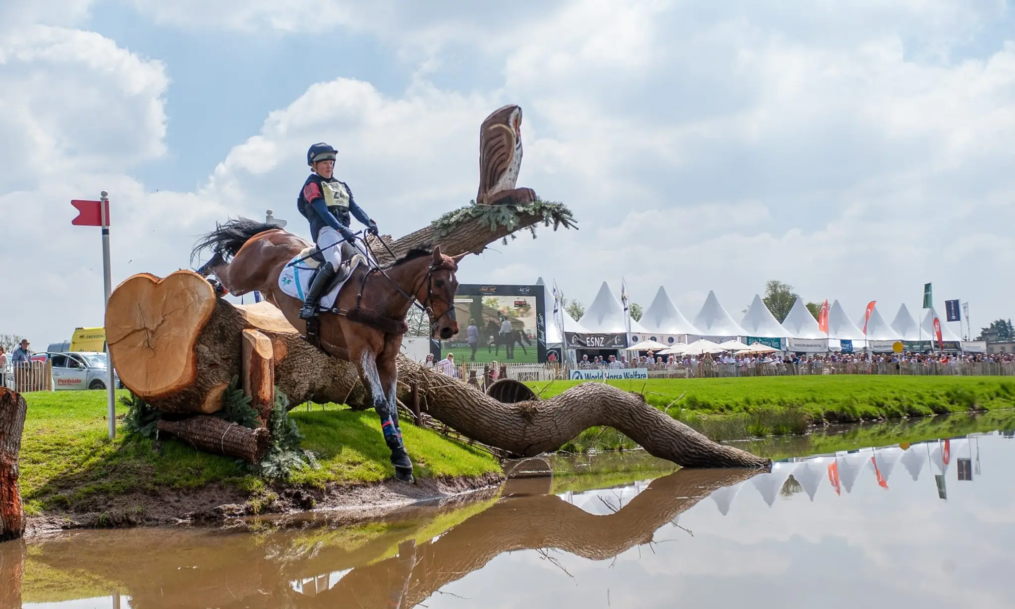 KATE HONEY EVENTING & Meridian Sport Horses