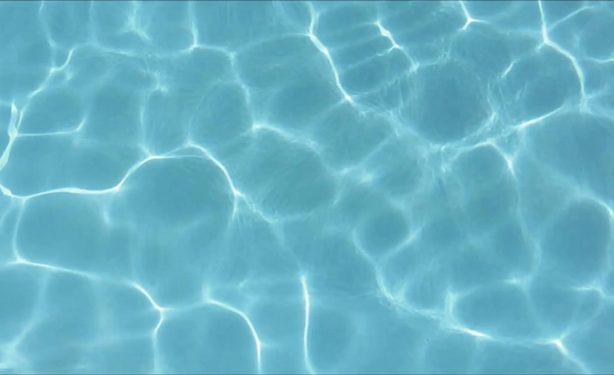 Clontarf Junior Swimming Club