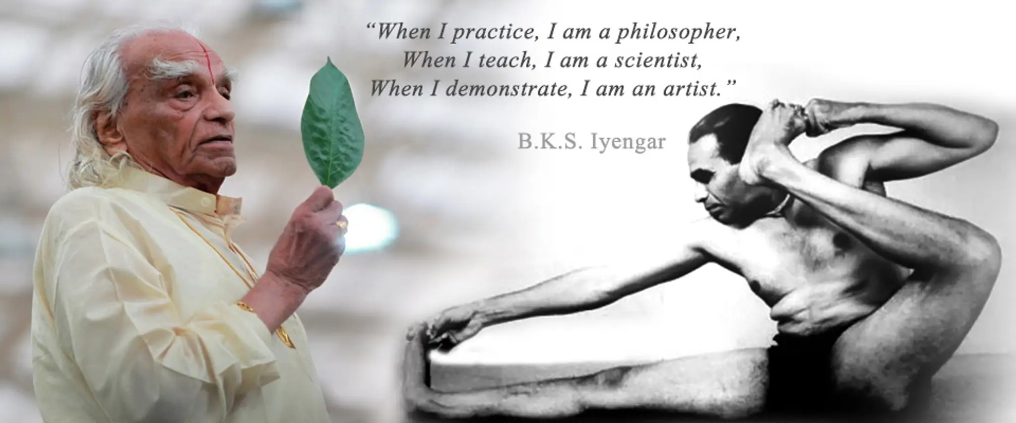 Iyengar Yoga on Lake Scugog