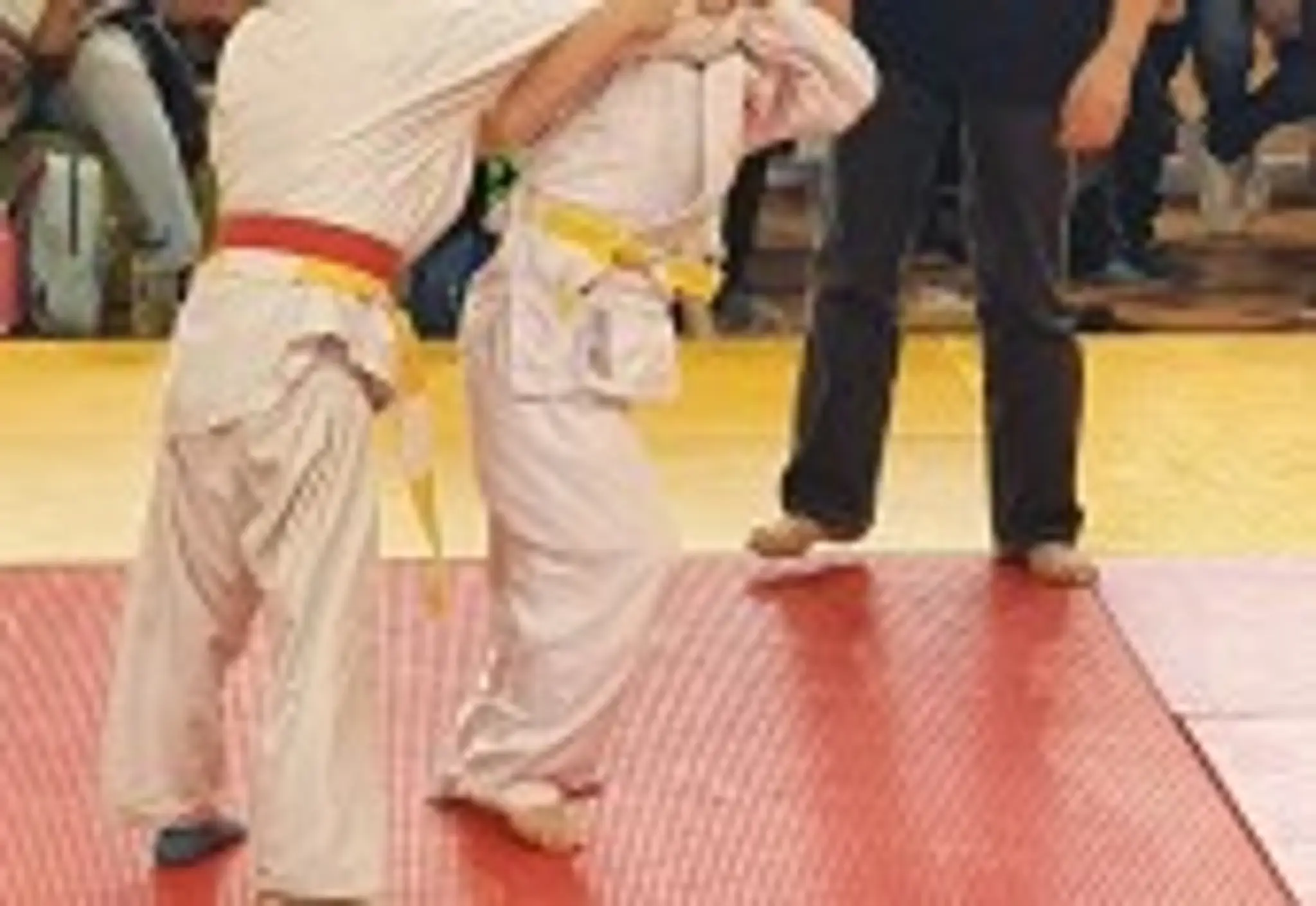 Judo club des Martres de Veyre