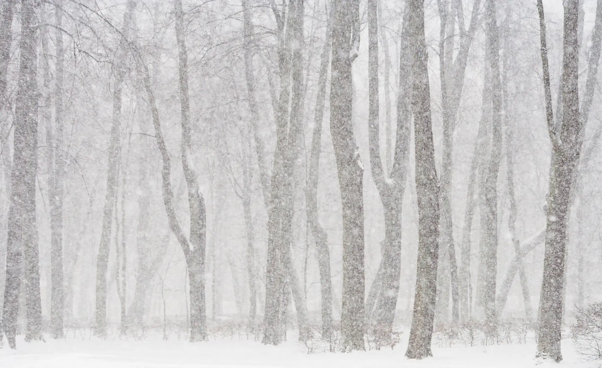 Casselman Figure skating Club
