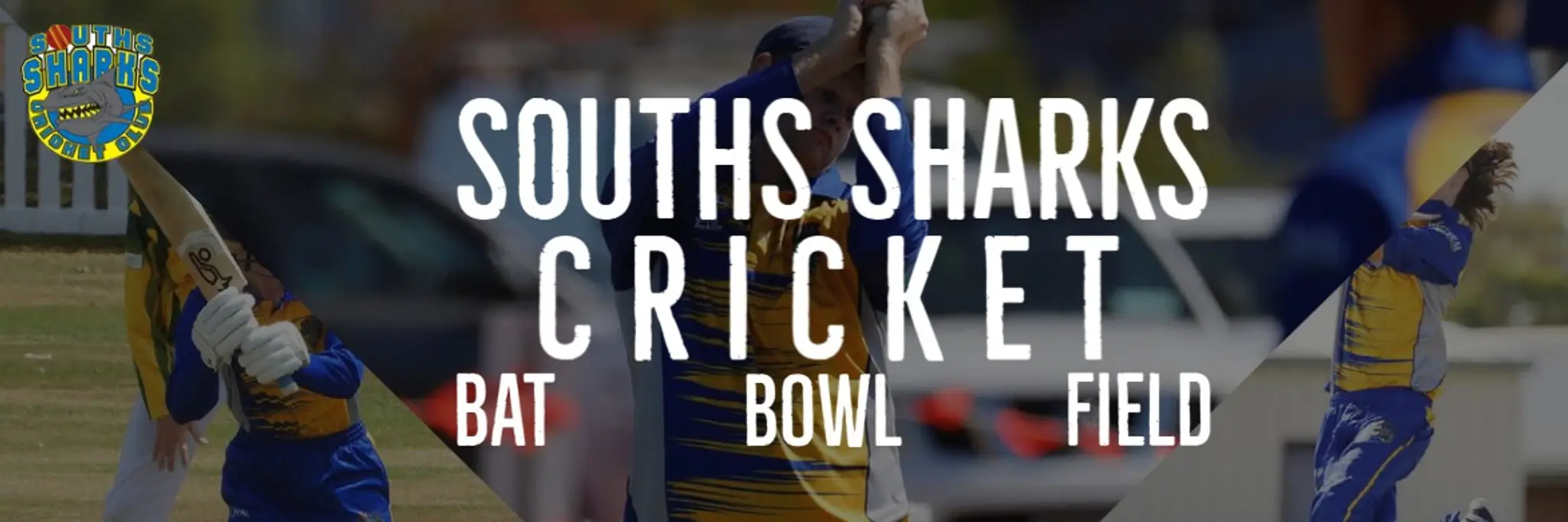 Southern Suburbs Cricket Club Mackay Inc