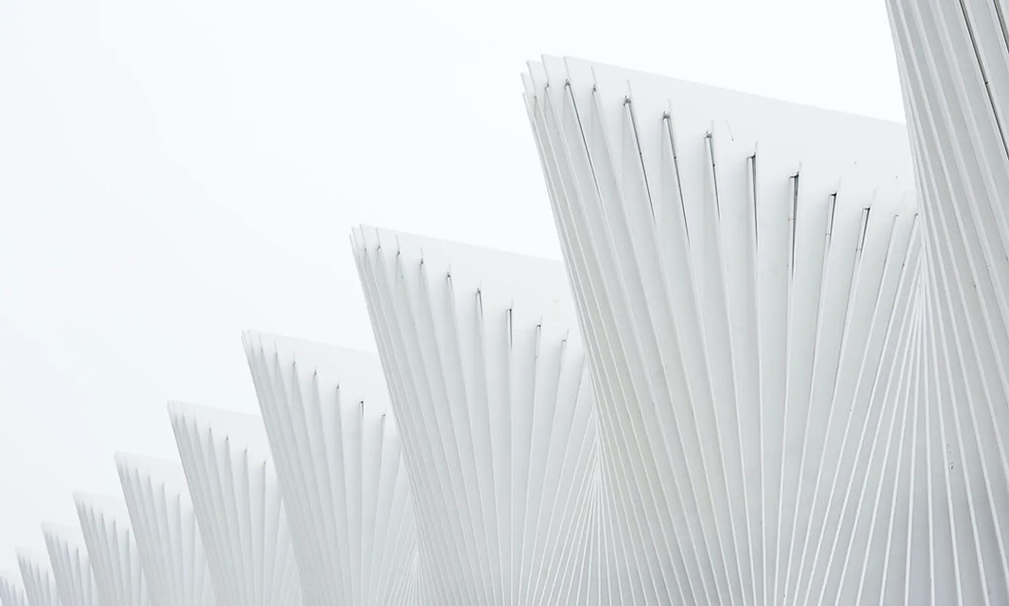 Arbroath Bowling Club