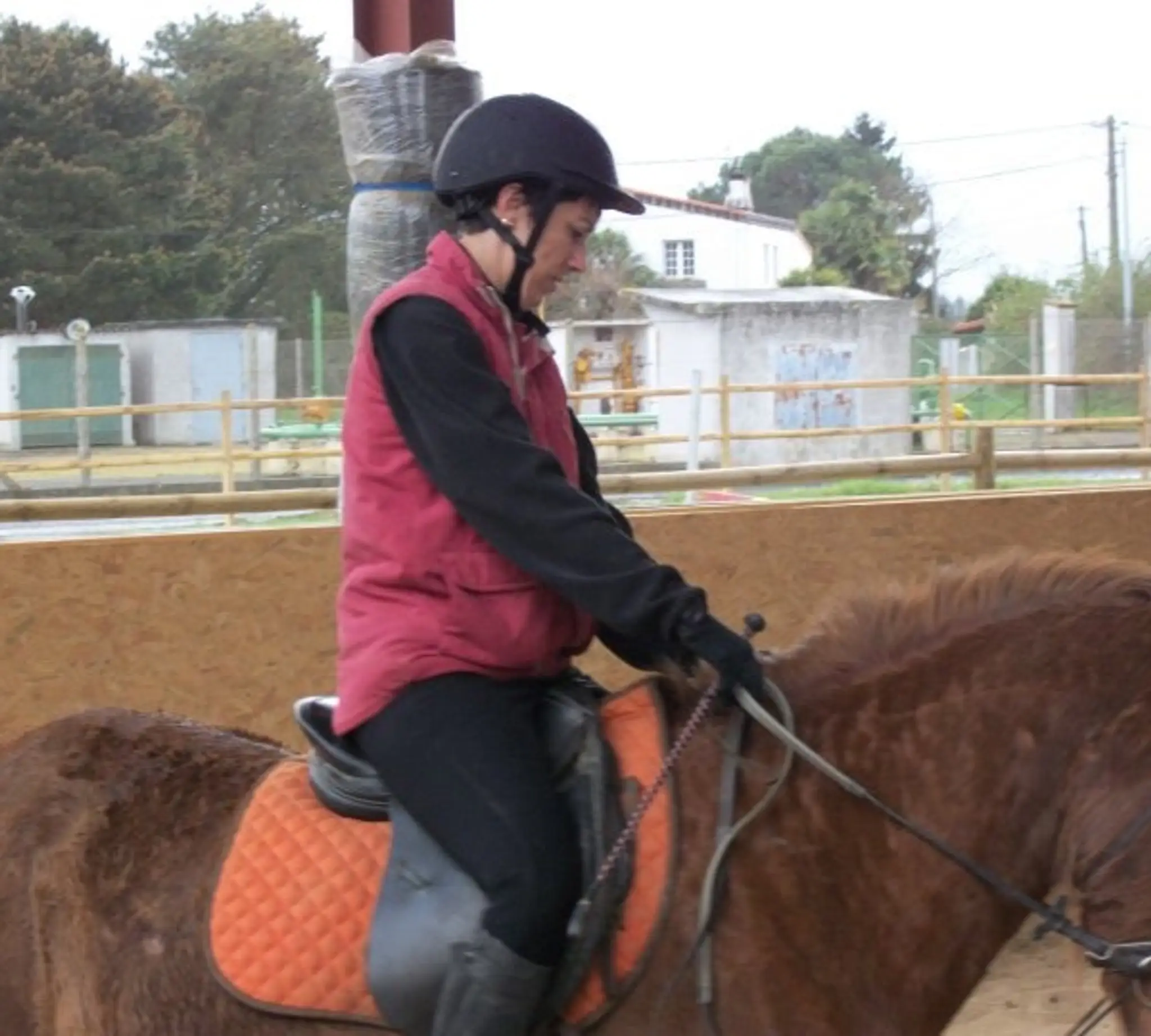 Pony Club Team Julie