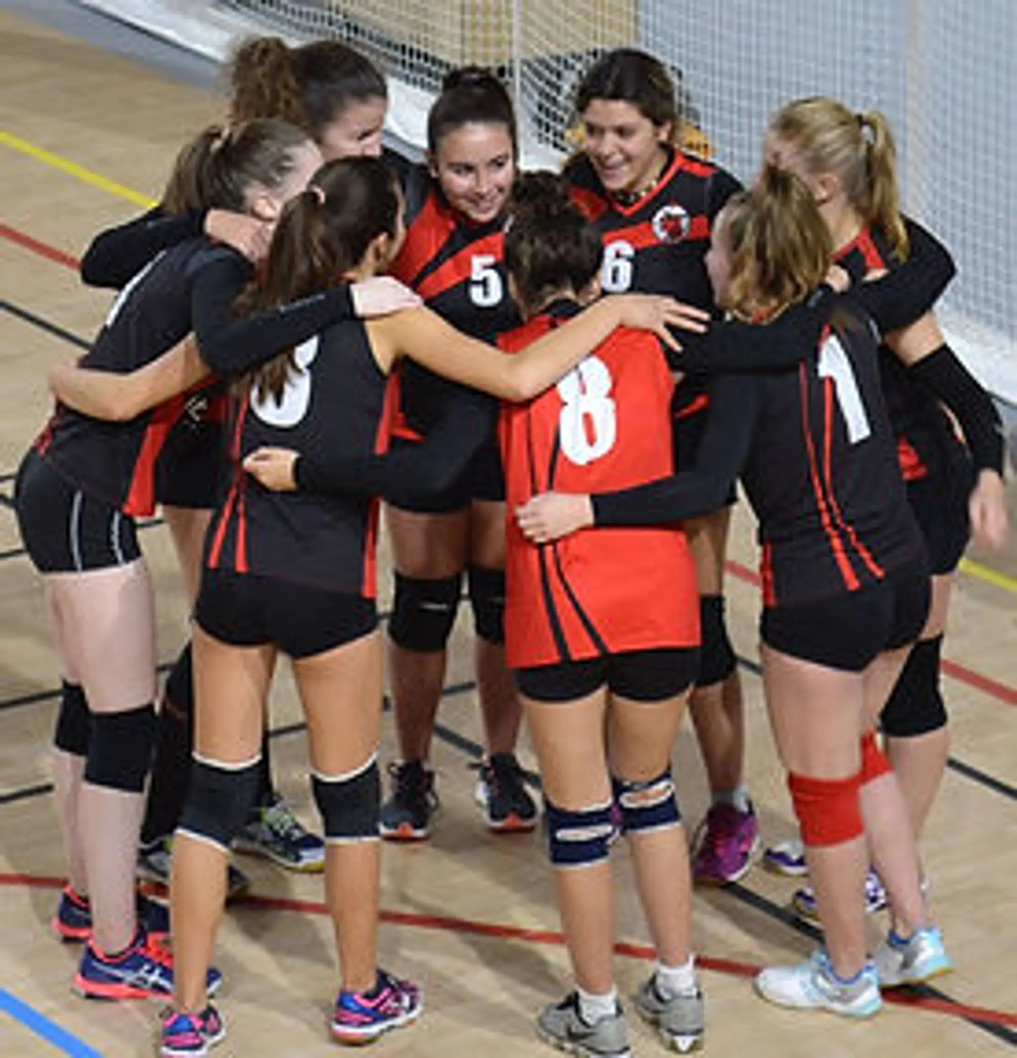 Association de Volley-Ball Taverny Saint-Leu