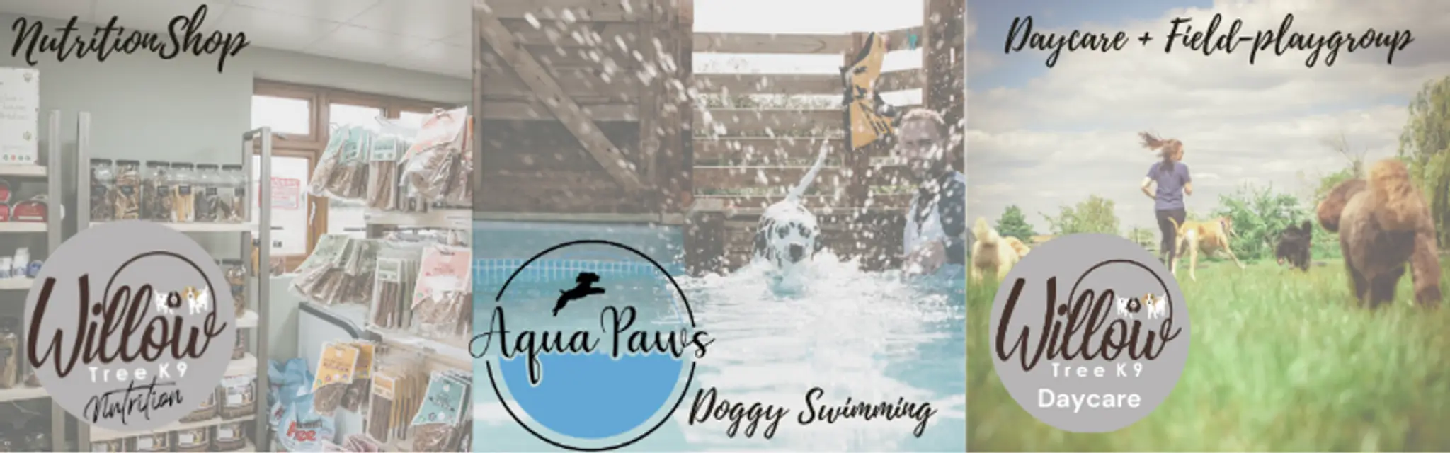 The Willow Tree Canine Daycare Ltd