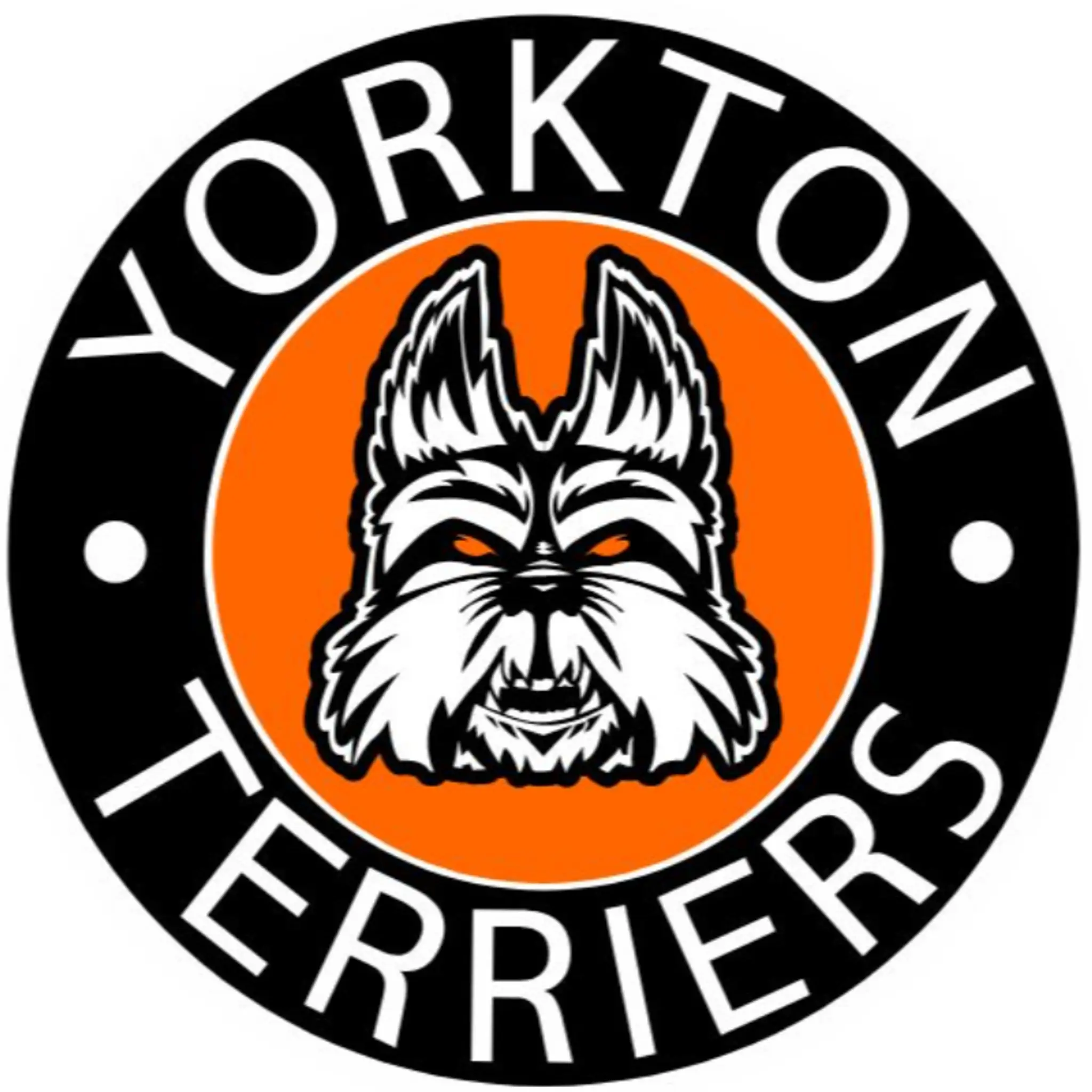 Yorkton Minor Hockey Association
