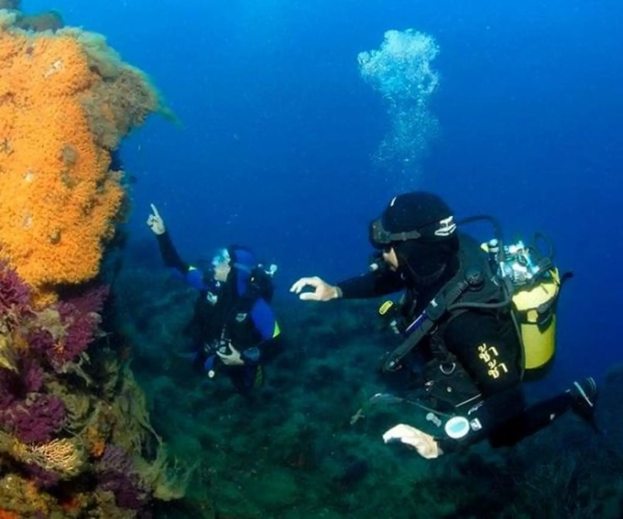 Triton First Aid Courses Ireland