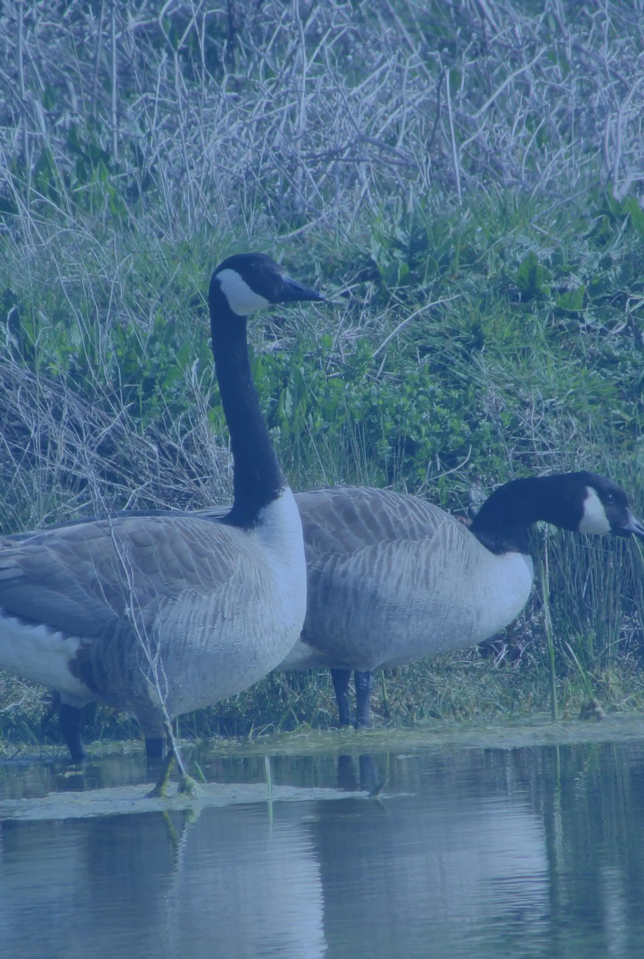 Mill Hill Farm Caravan & Campsite