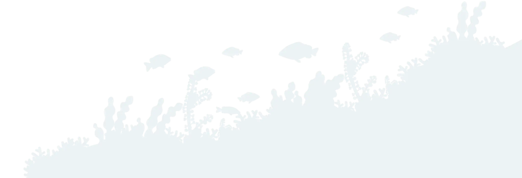 Ecosystem diving center