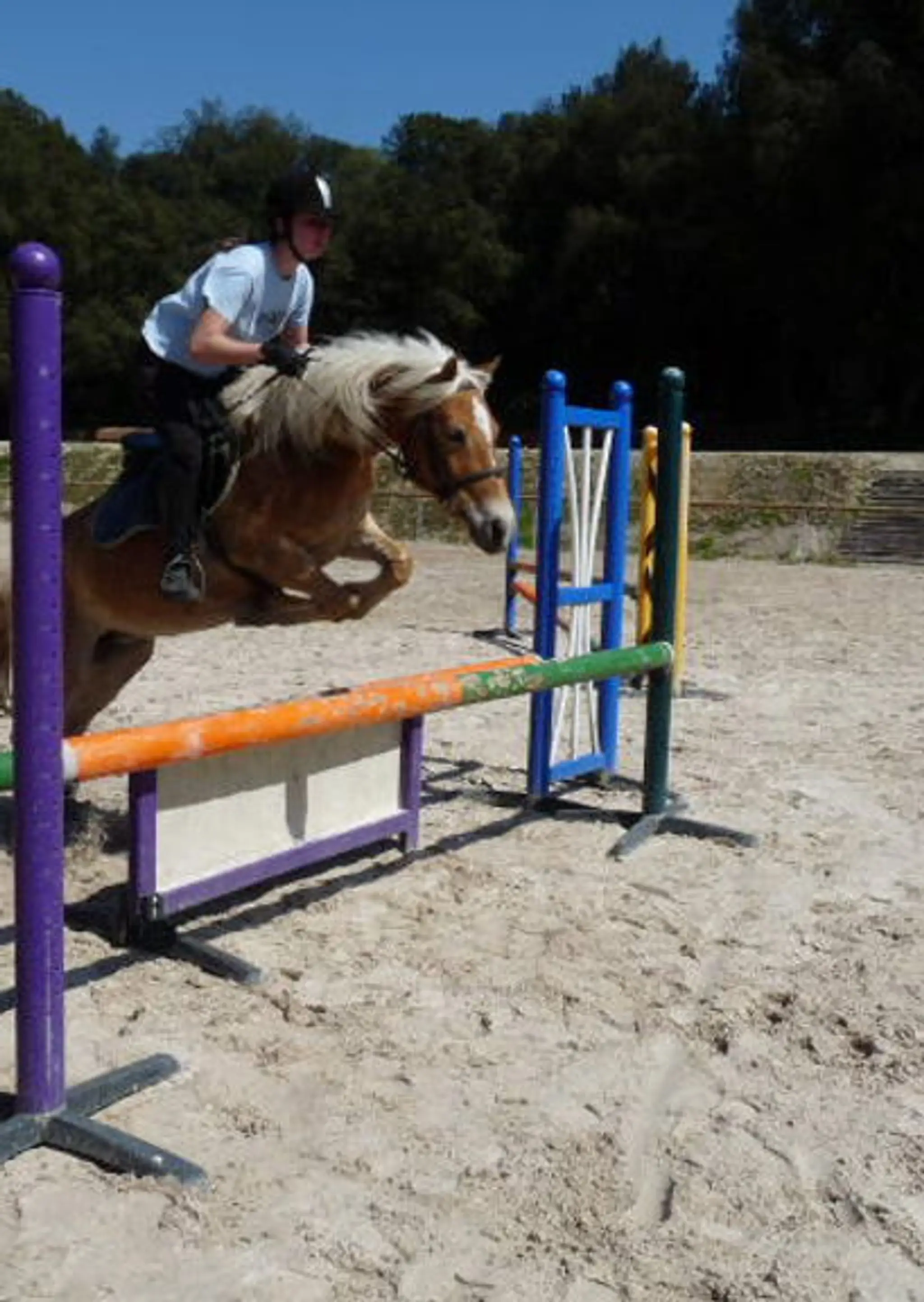 Marcaillou Cindy - Pony Express