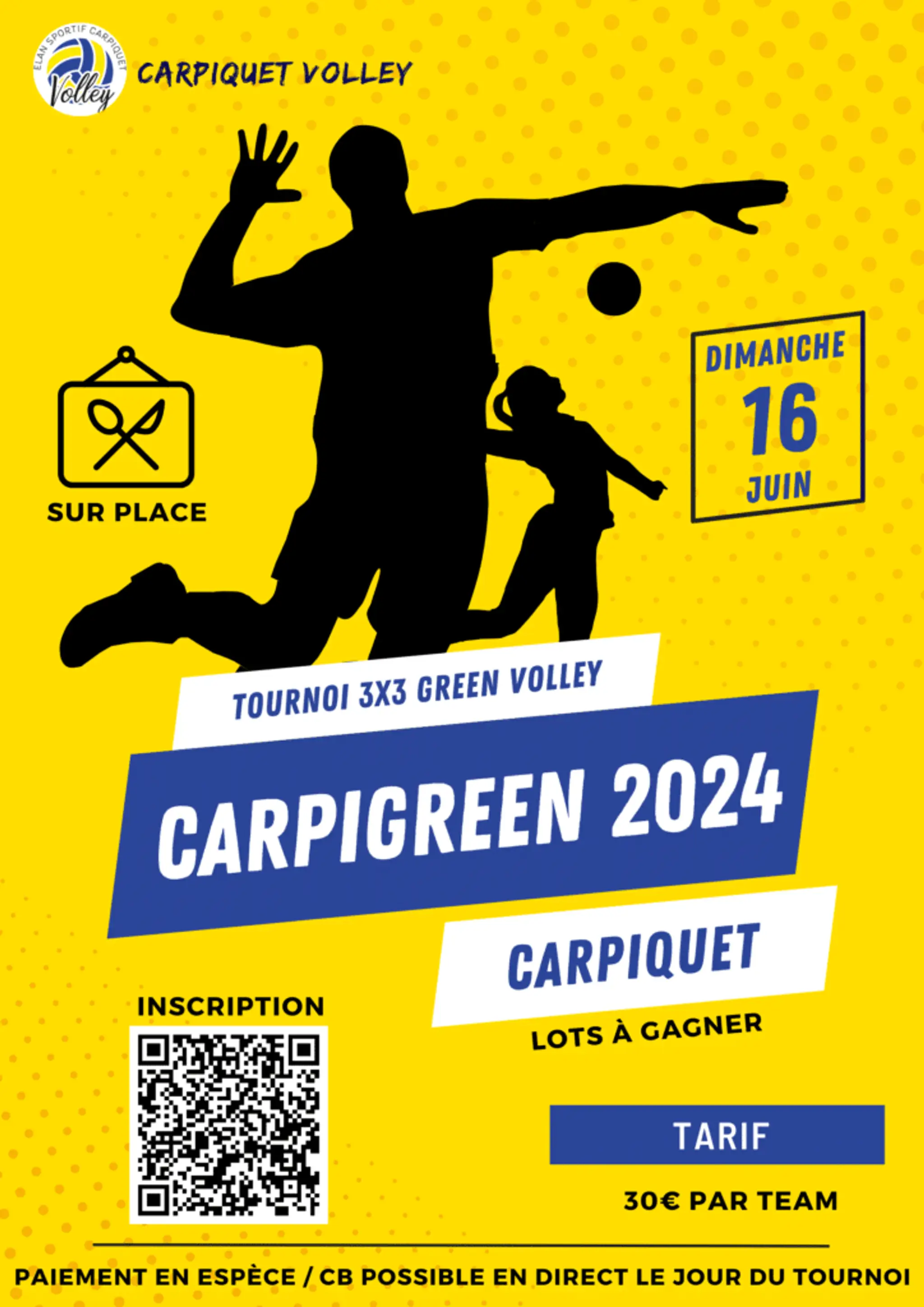 Elan Sportif Carpiquet Volley