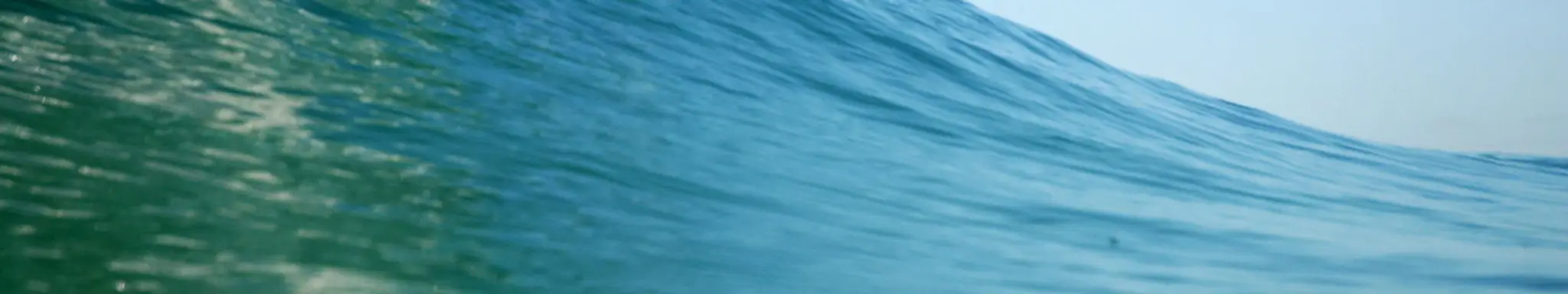 Manly Surf Guide's Surfboard and Wetsuit Outlet - Softboard Specialist