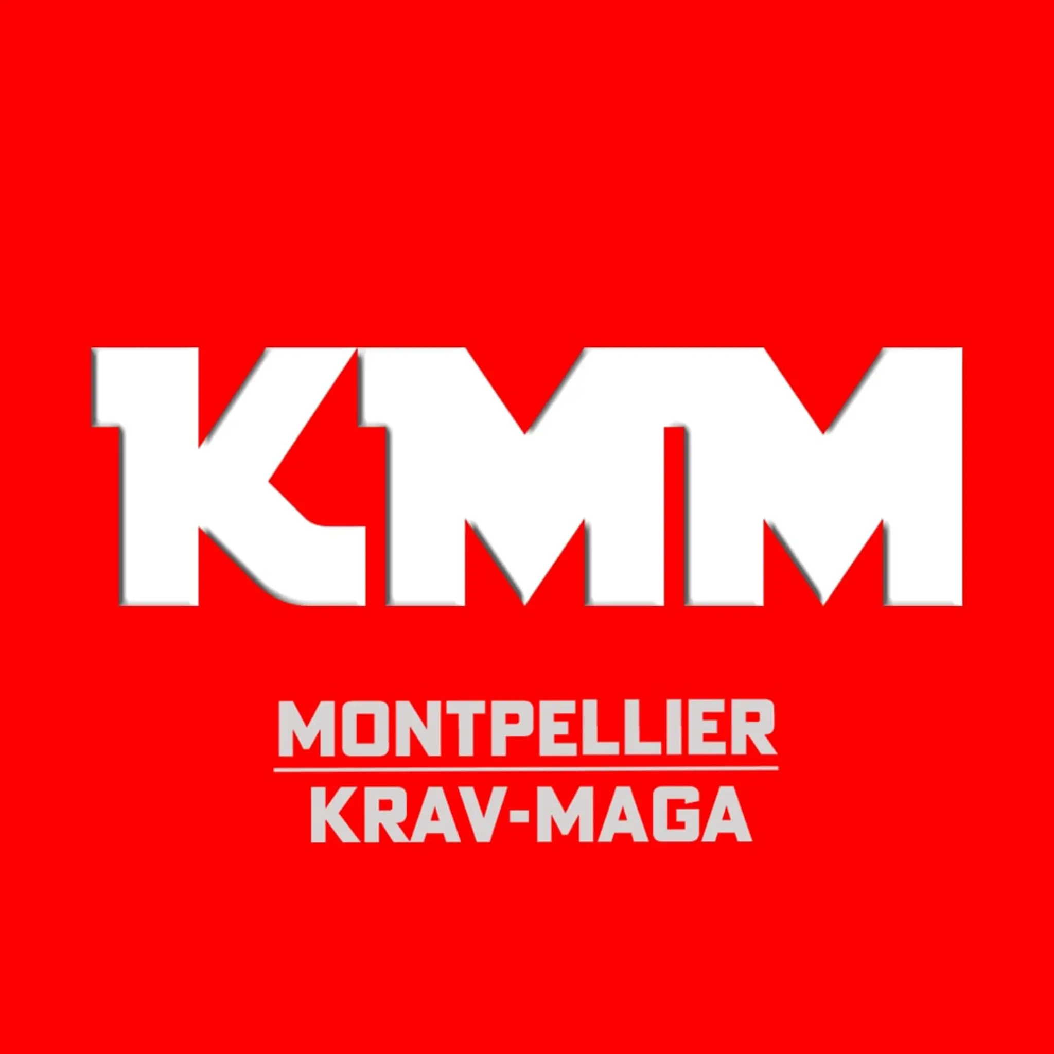 KMFDA (Krav Maga Federation & Disciplines Associees)