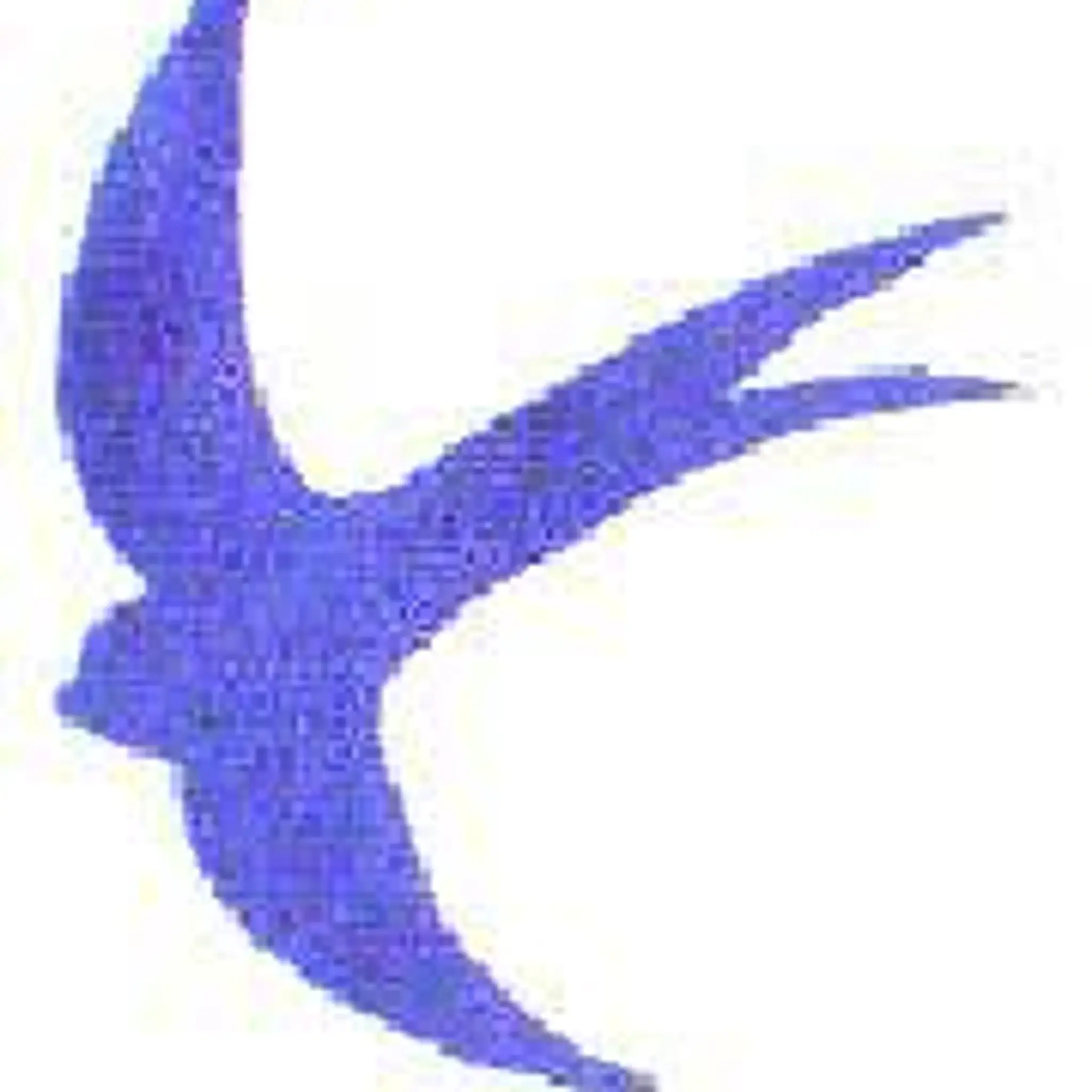 Arundel Cricket Club