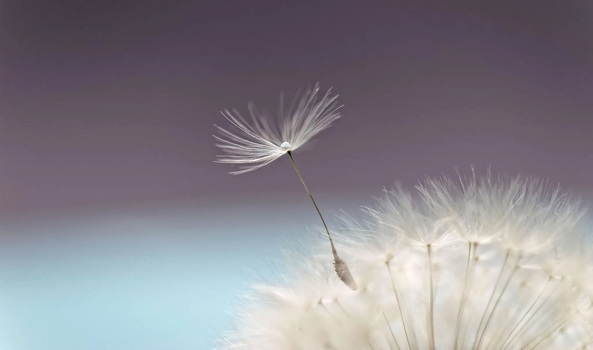 Space An Breath Association Cours De Yoga
