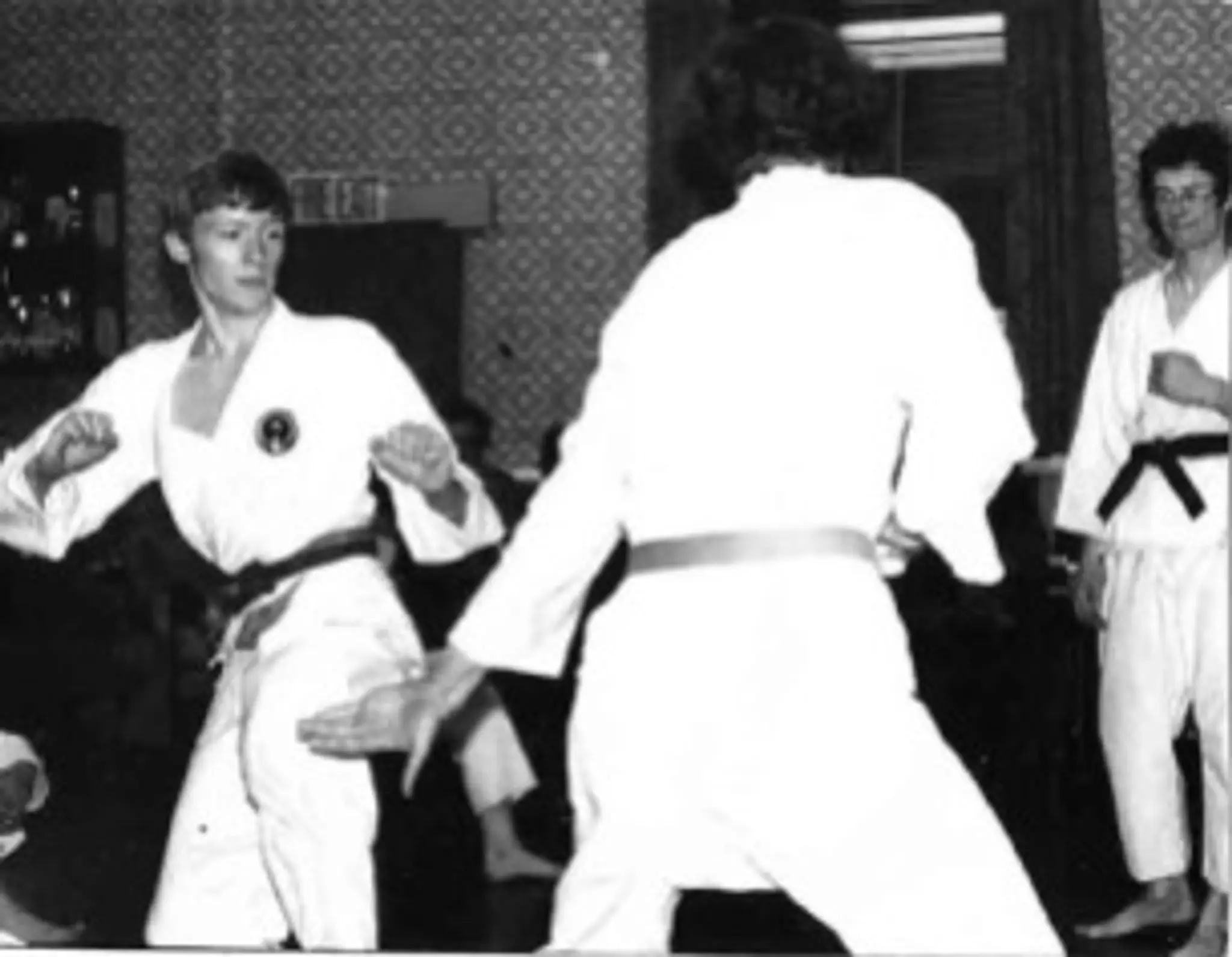 Shikukai Wado Ryu Karate