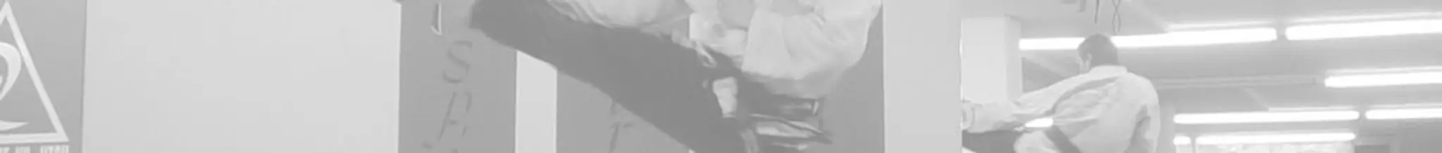 Dragon Martial Arts Academy - Creston