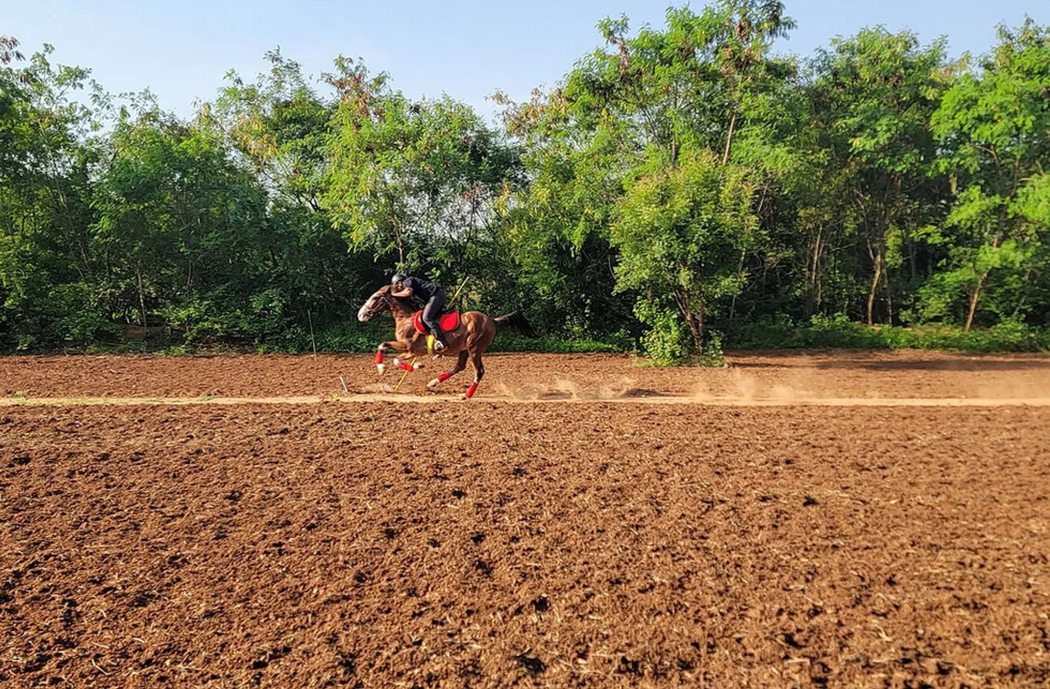 The Hyderabad Equestrian Center