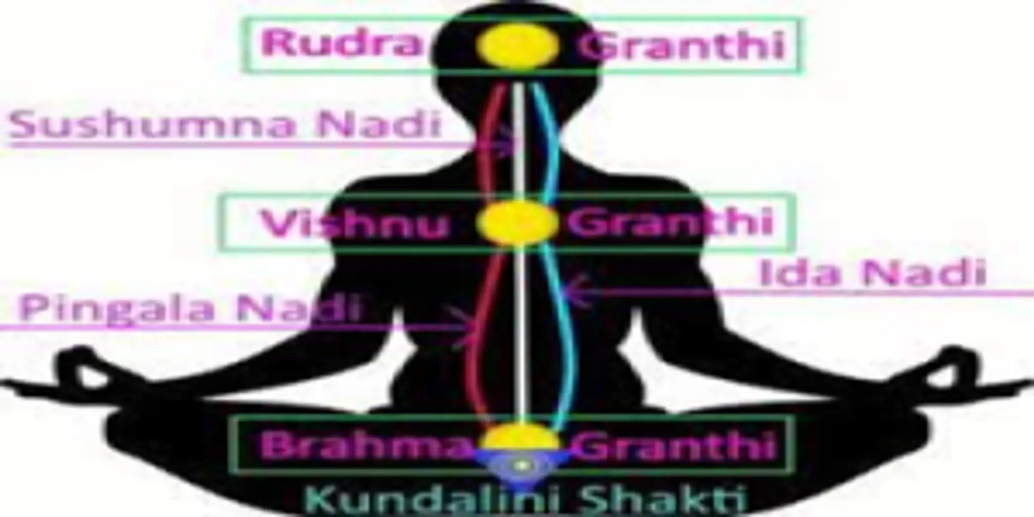 Yoga Theus