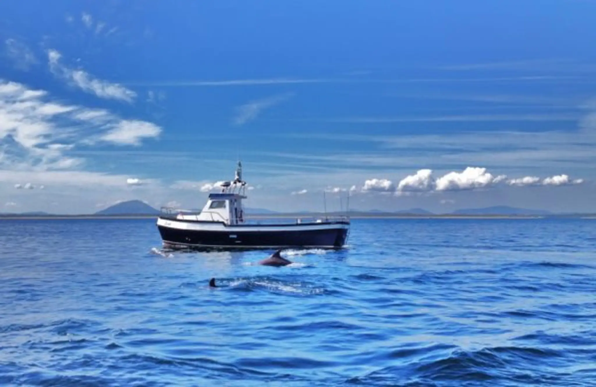 Donal Kennedy Angling