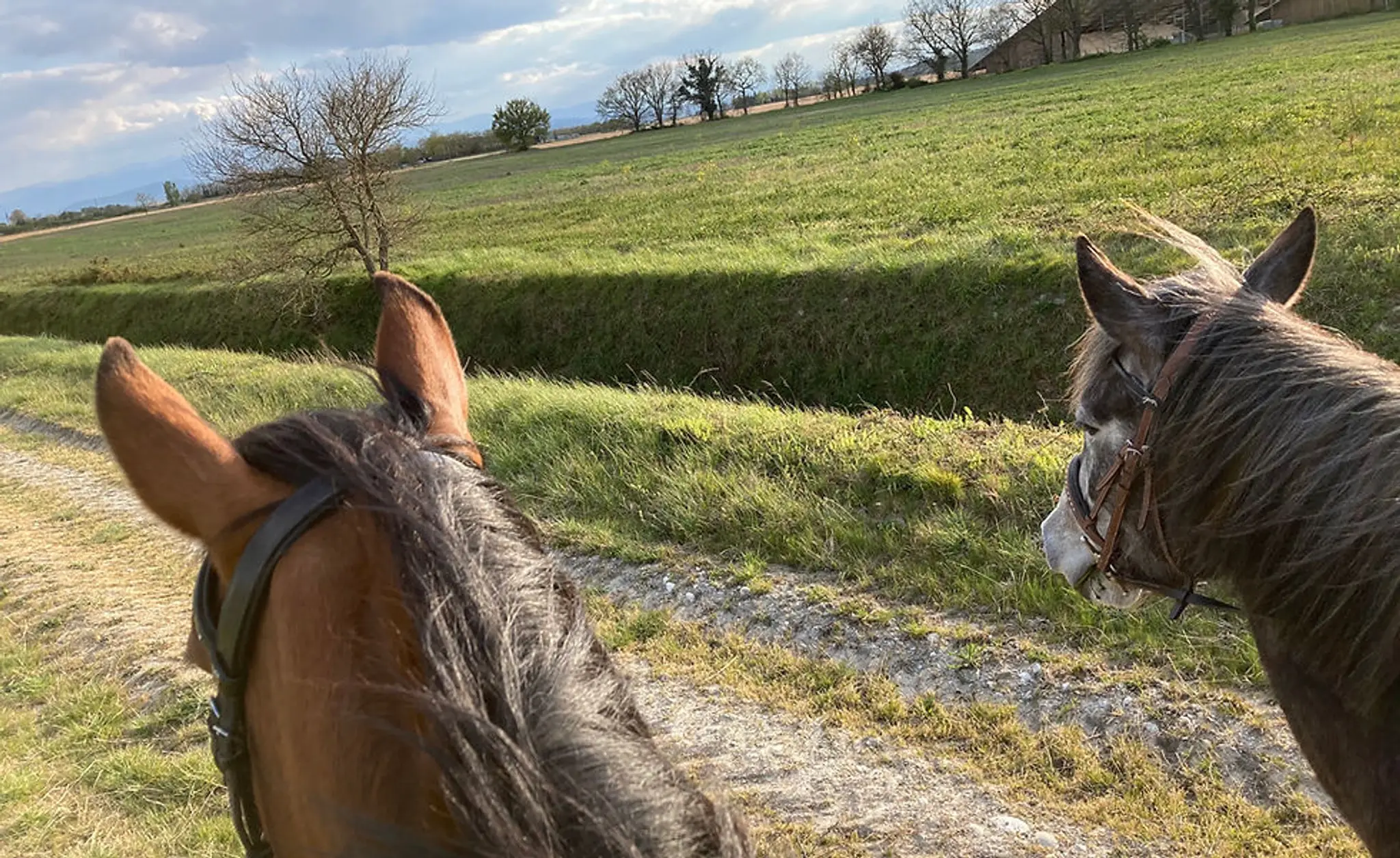 Les Écuries Du Basthel