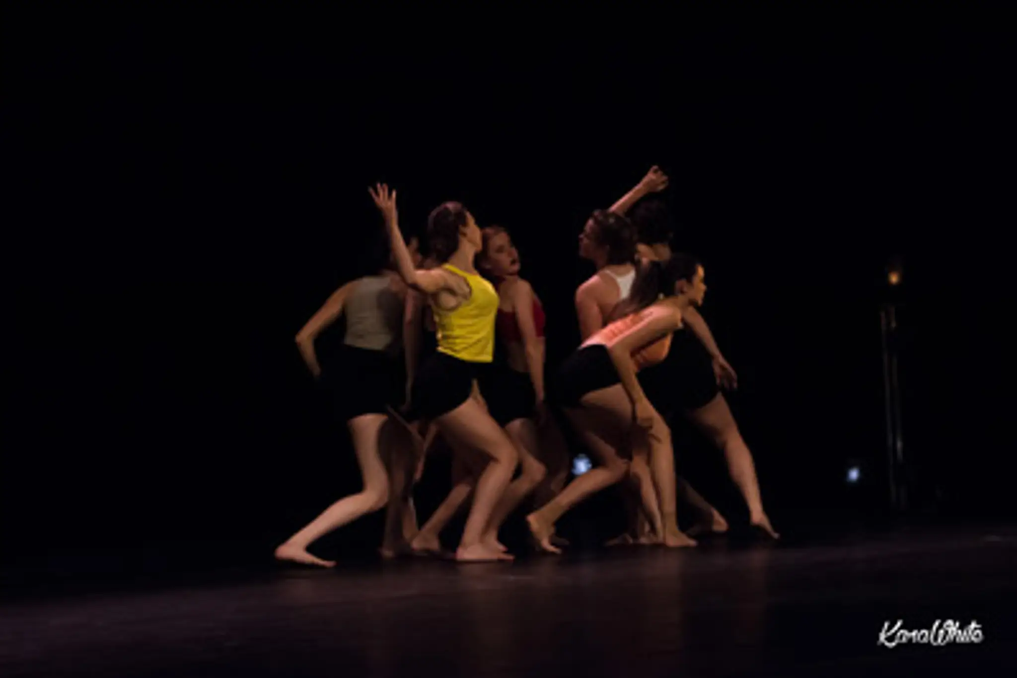 Dance School - Dansencorps