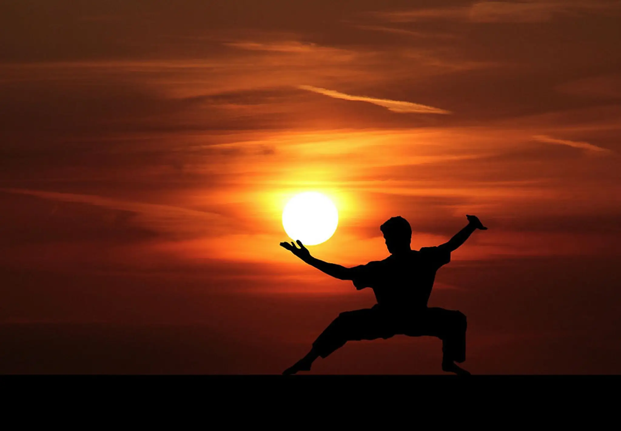 Black Tiger Martial Arts