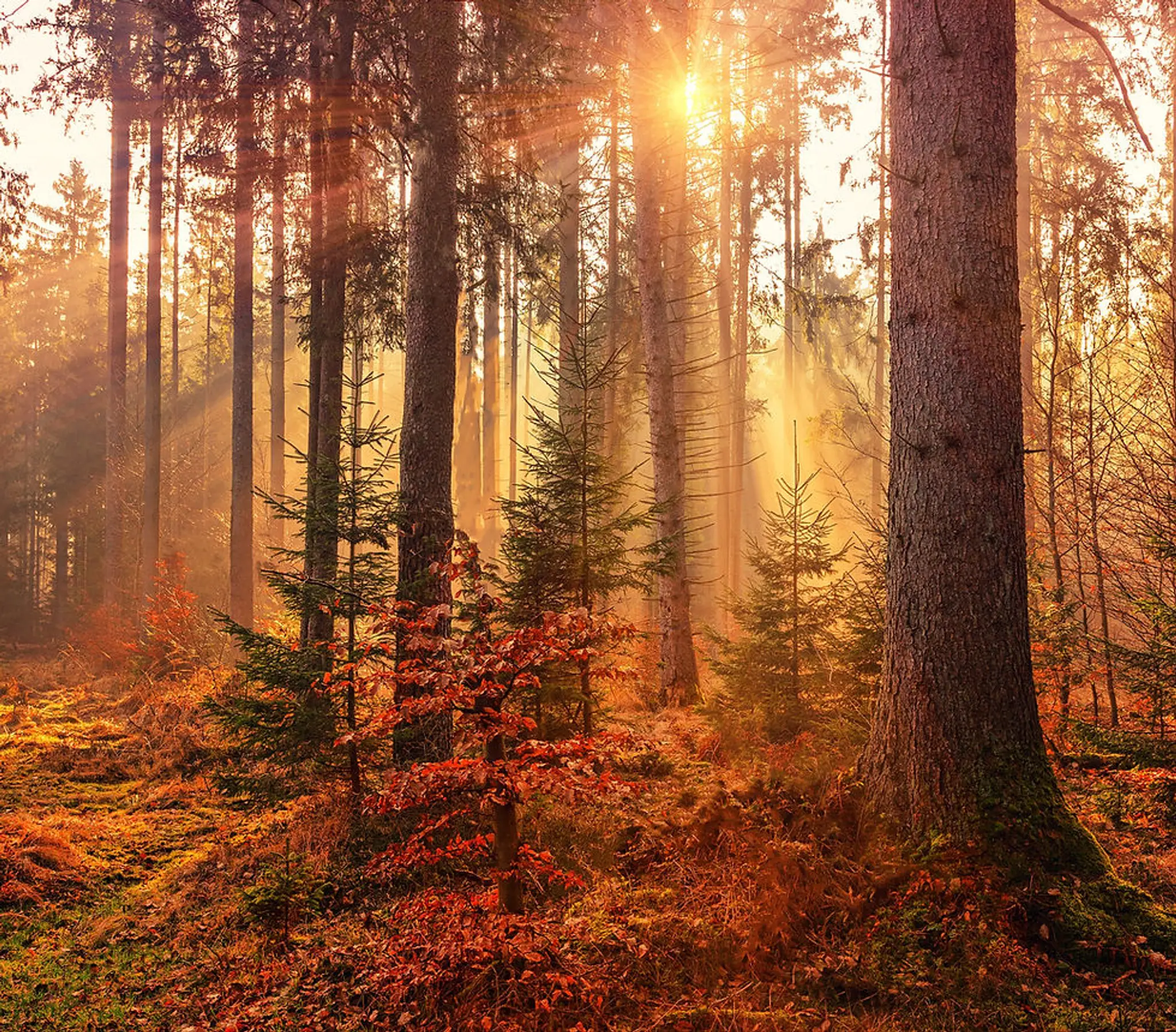 La Boussole Altkirch