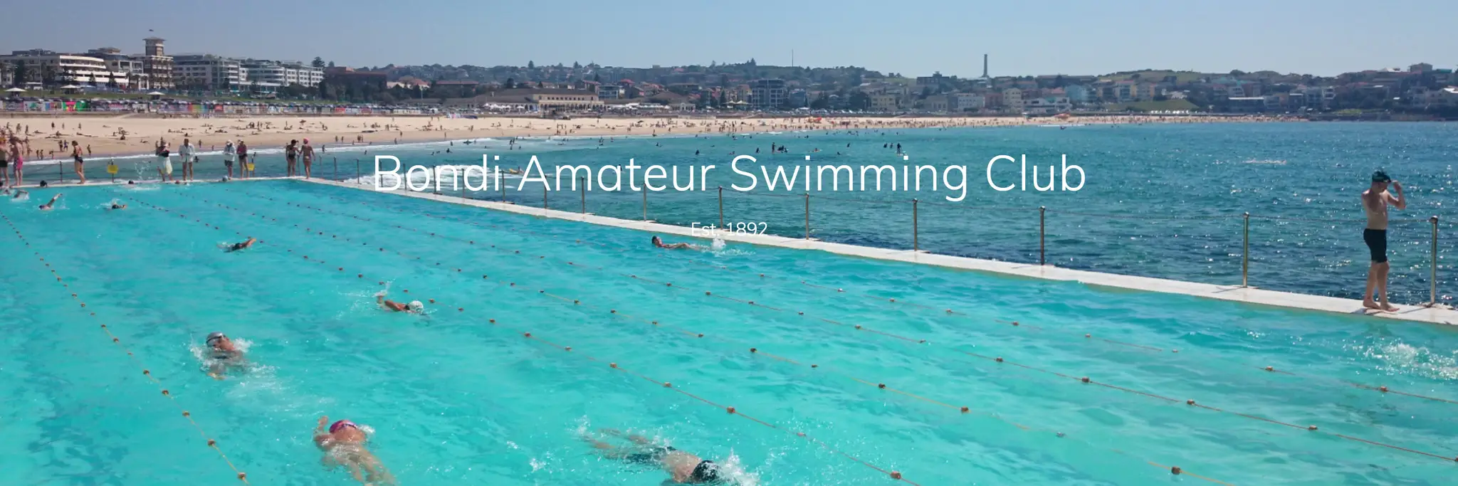 Bondi Amateur Swimming Club