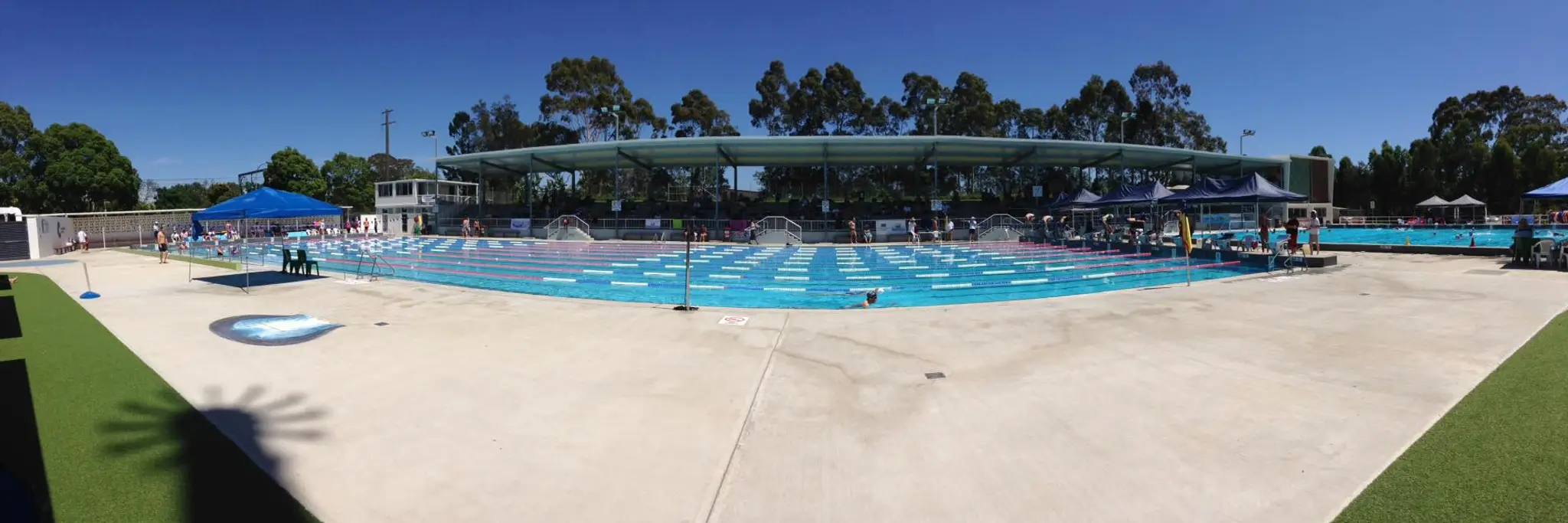 Warringah Masters Swimming Club