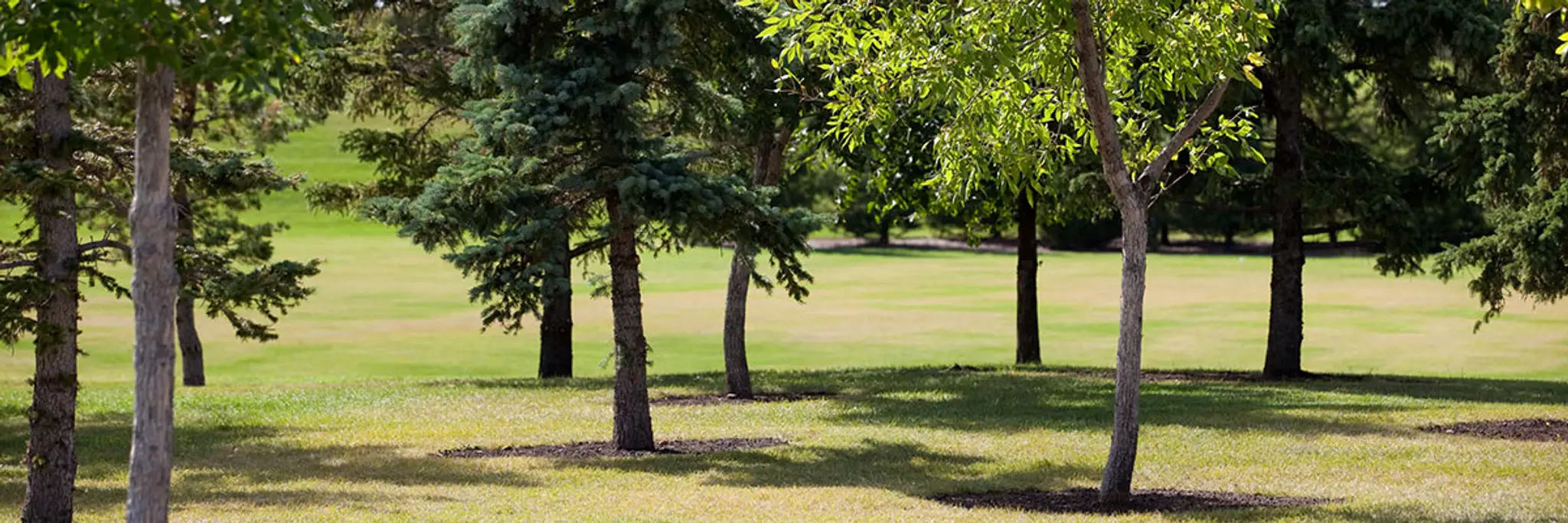 Prairie Winds Park Swimming Pool
