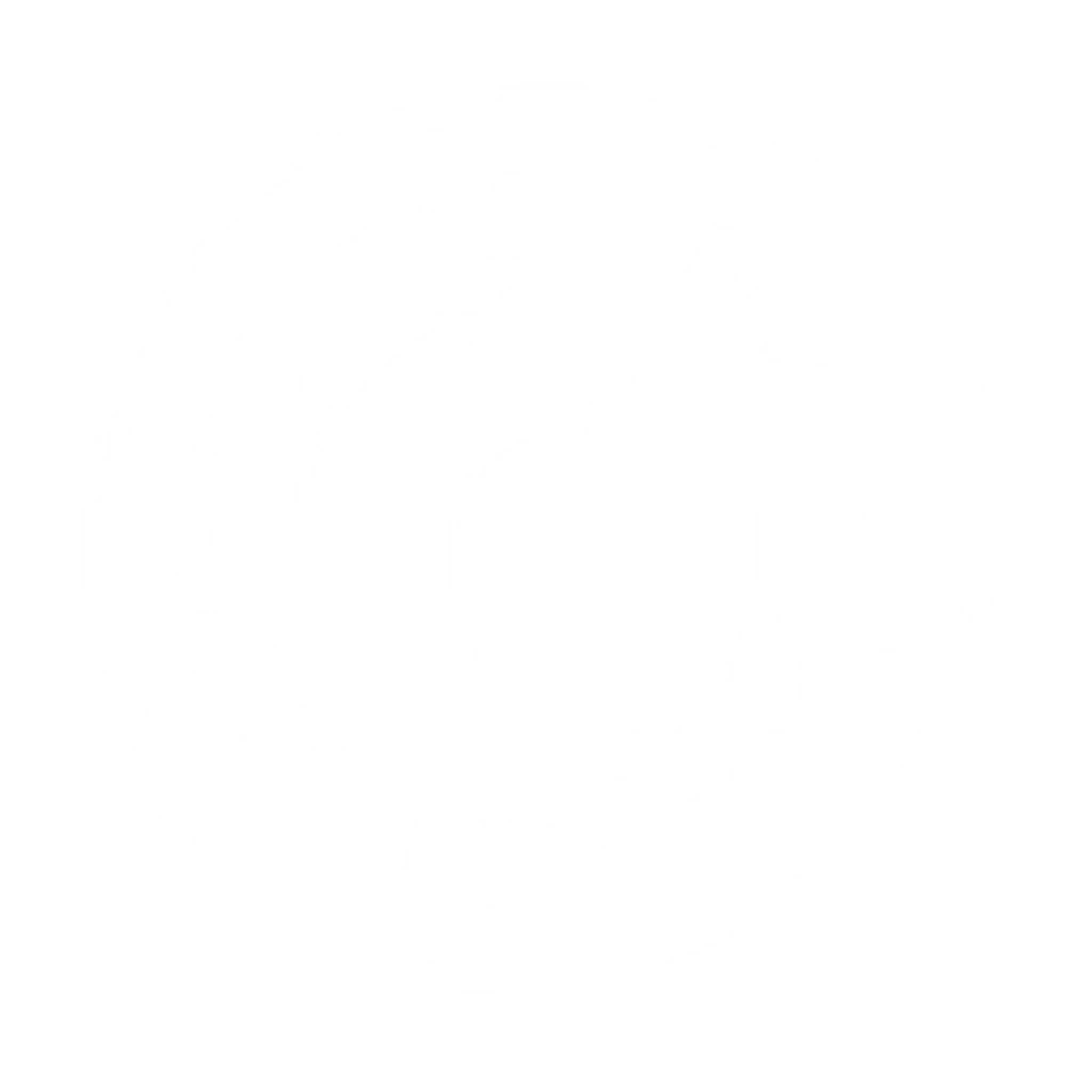 The Program Fitness (Gym)