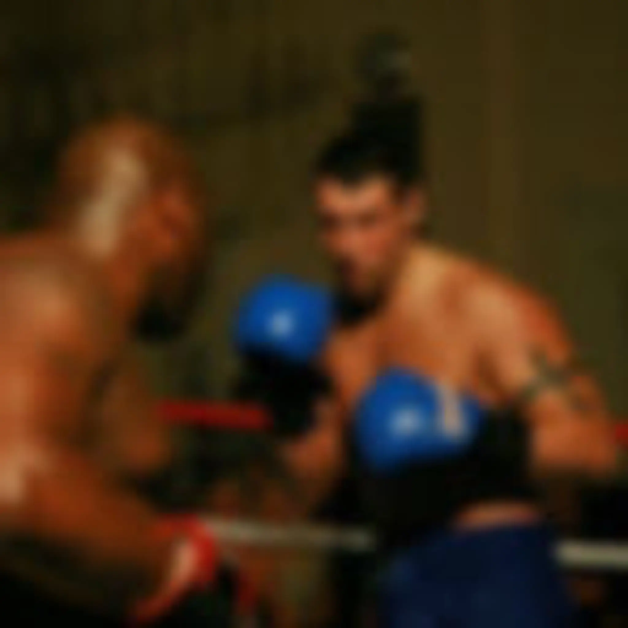 Ringside Fitness Box