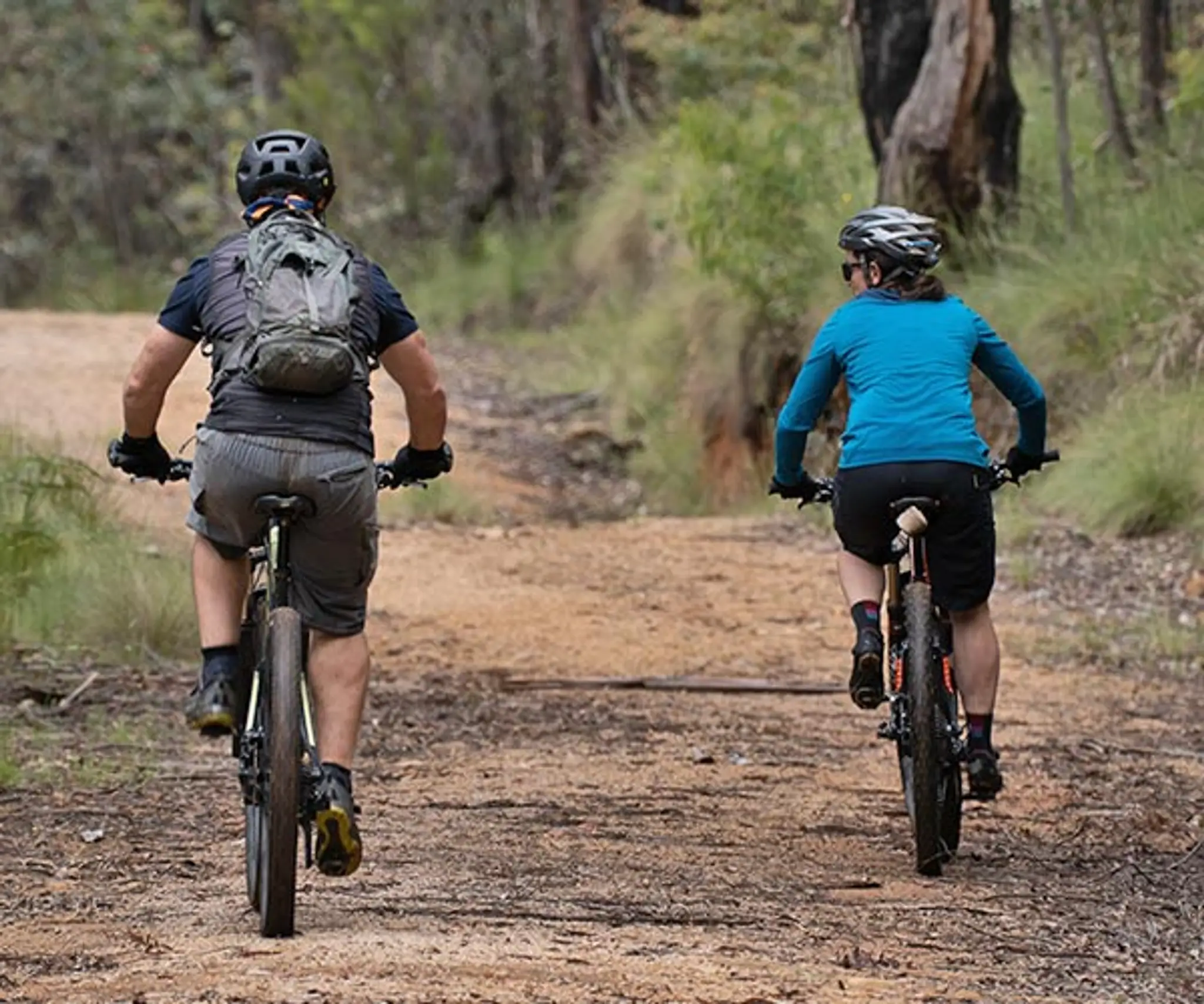 Pine Island Mountain Bike Trails