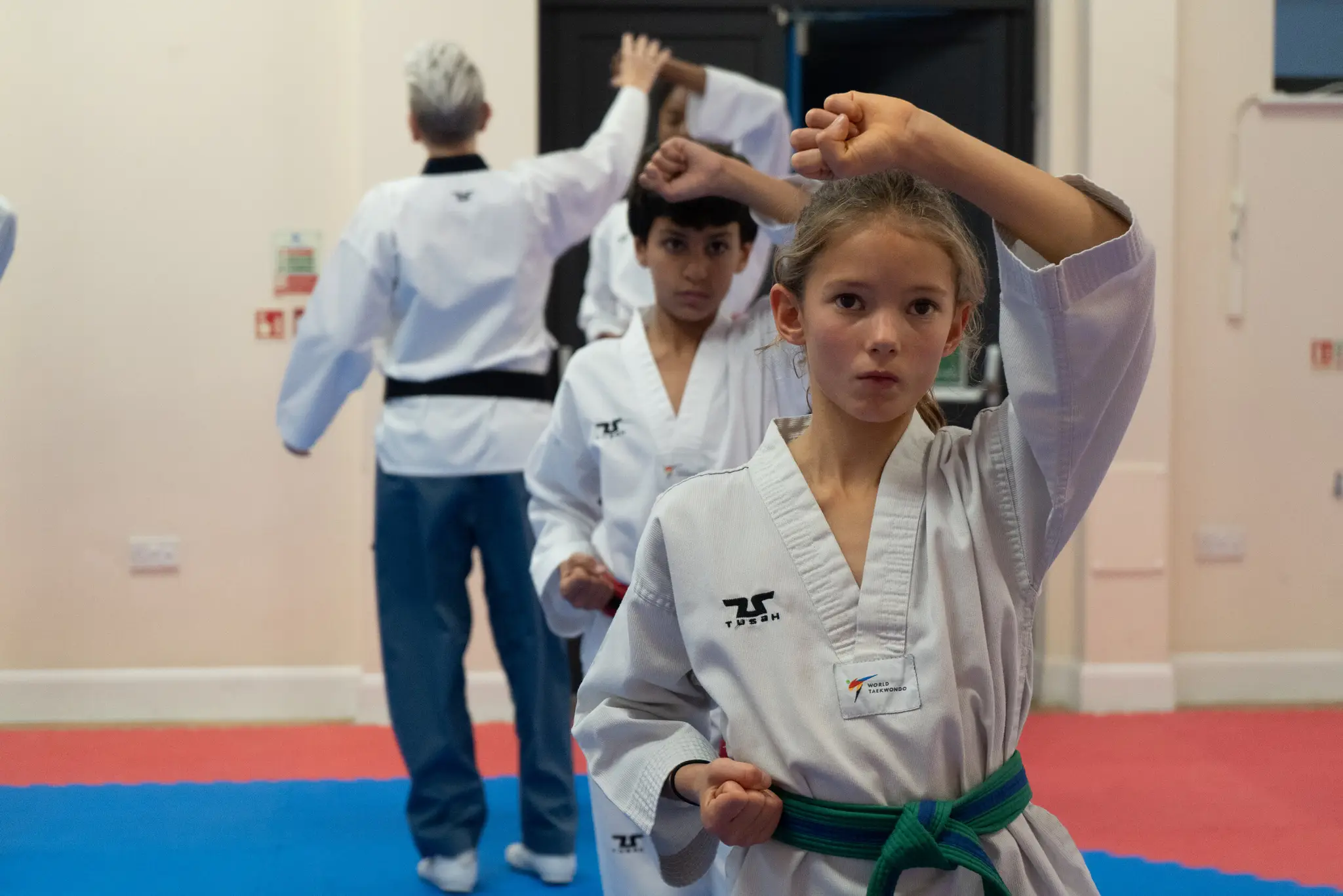 Peak Performance Taekwondo Academy- The Priory School