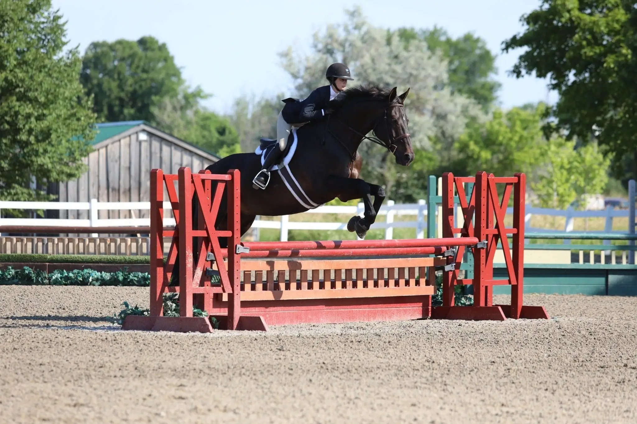 Wynbrook Equestrian Centre