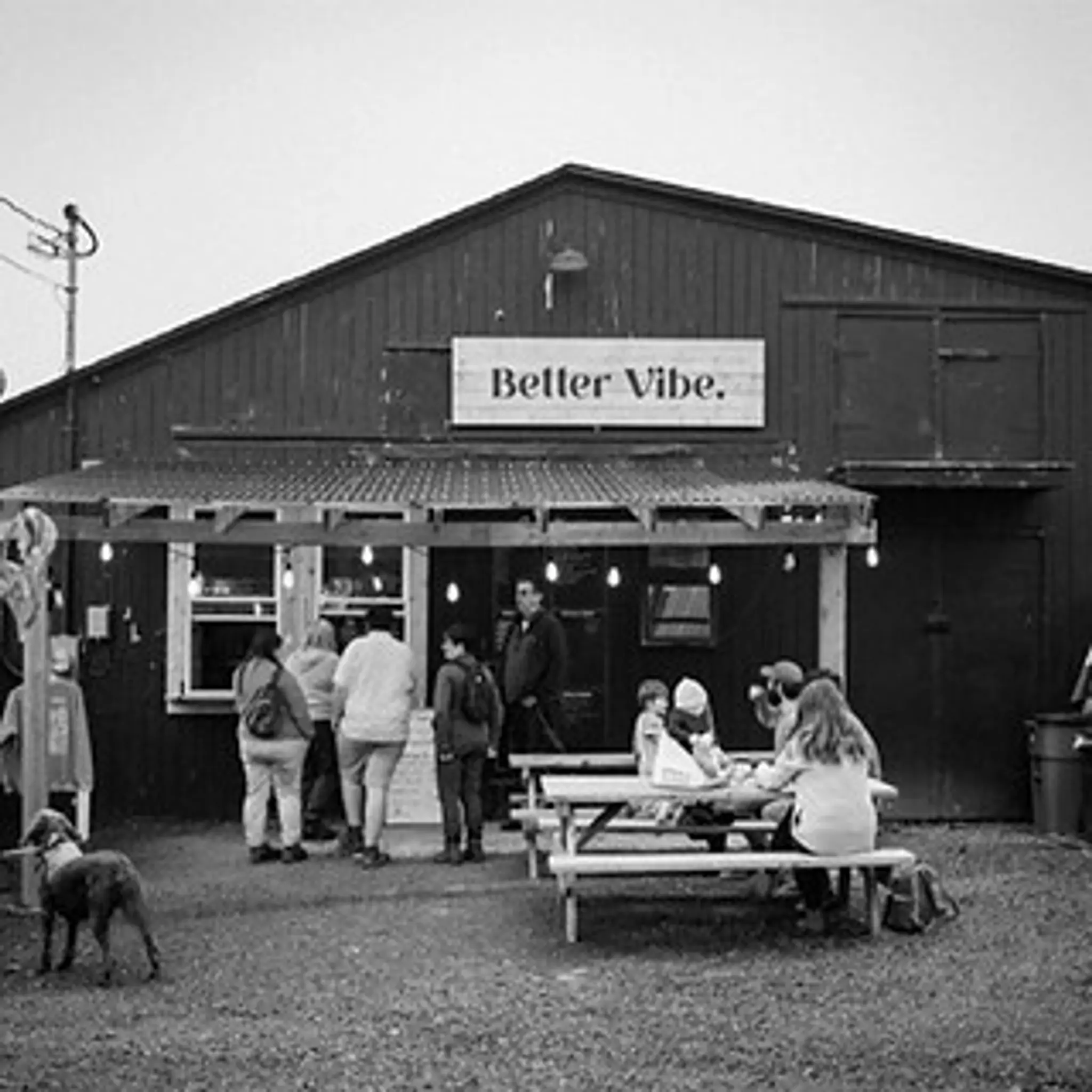 Better Vibe Coffee Co.