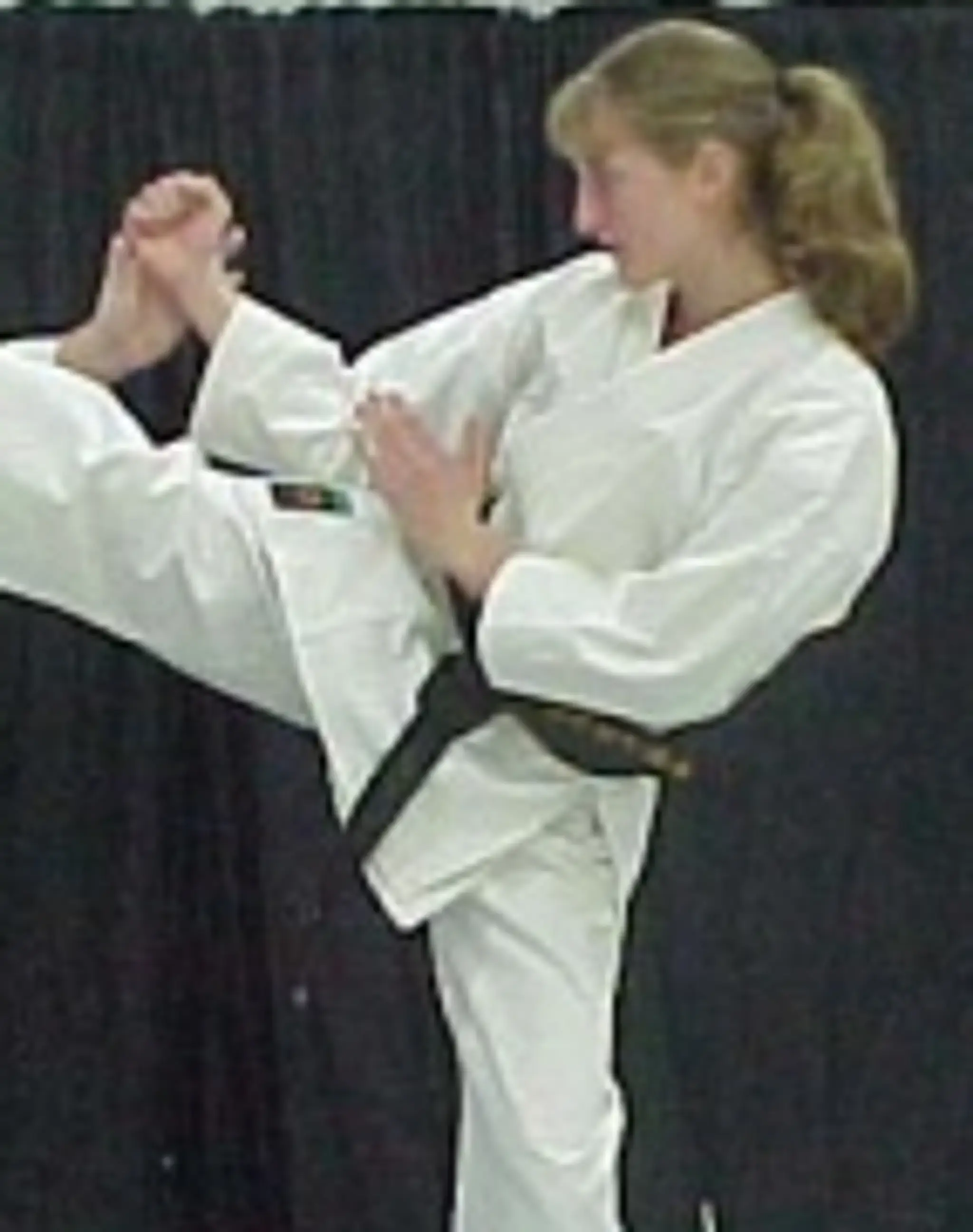 Dakota Karate Club