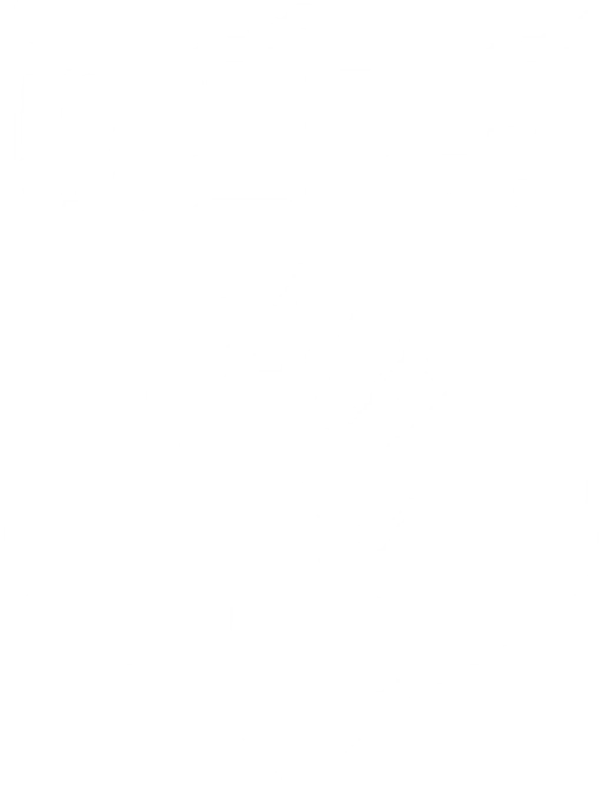 Rebel PT Limited