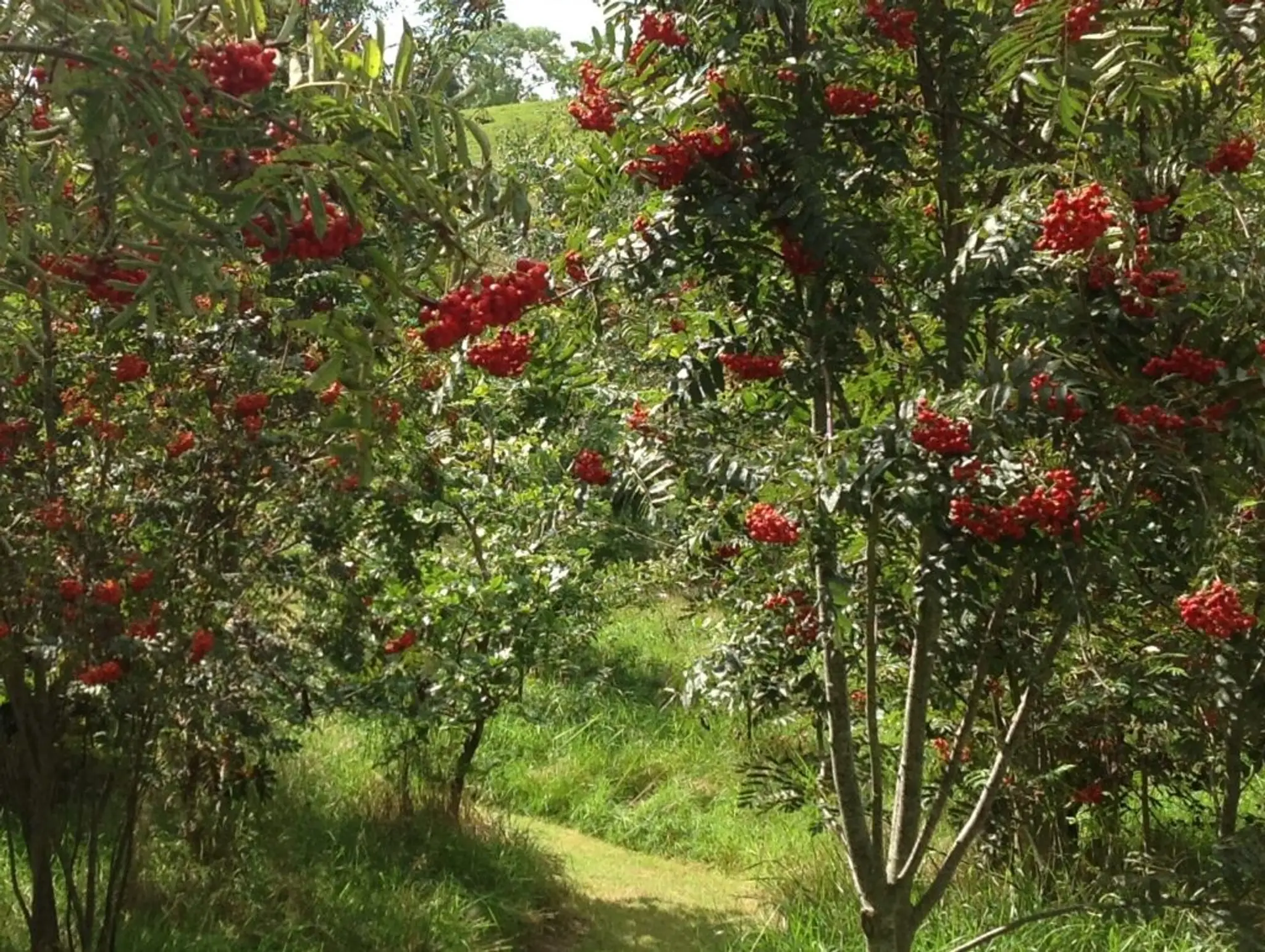 Holistic Retreat Centre Embrace